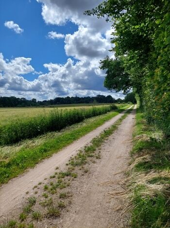 Feldweg direkt um die Ecke