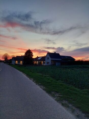 Abendstimmung un Gammelbymoor