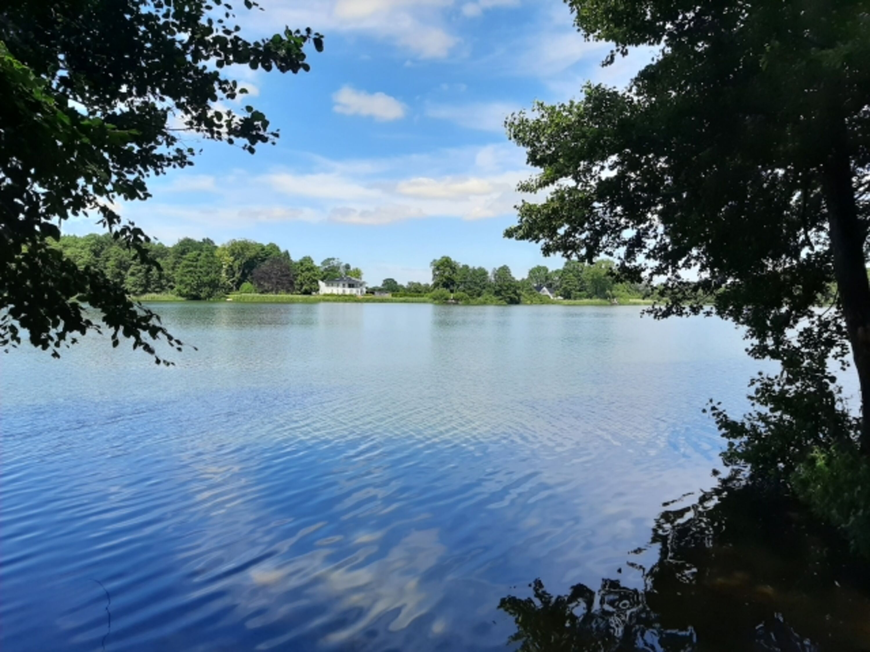 Südensee