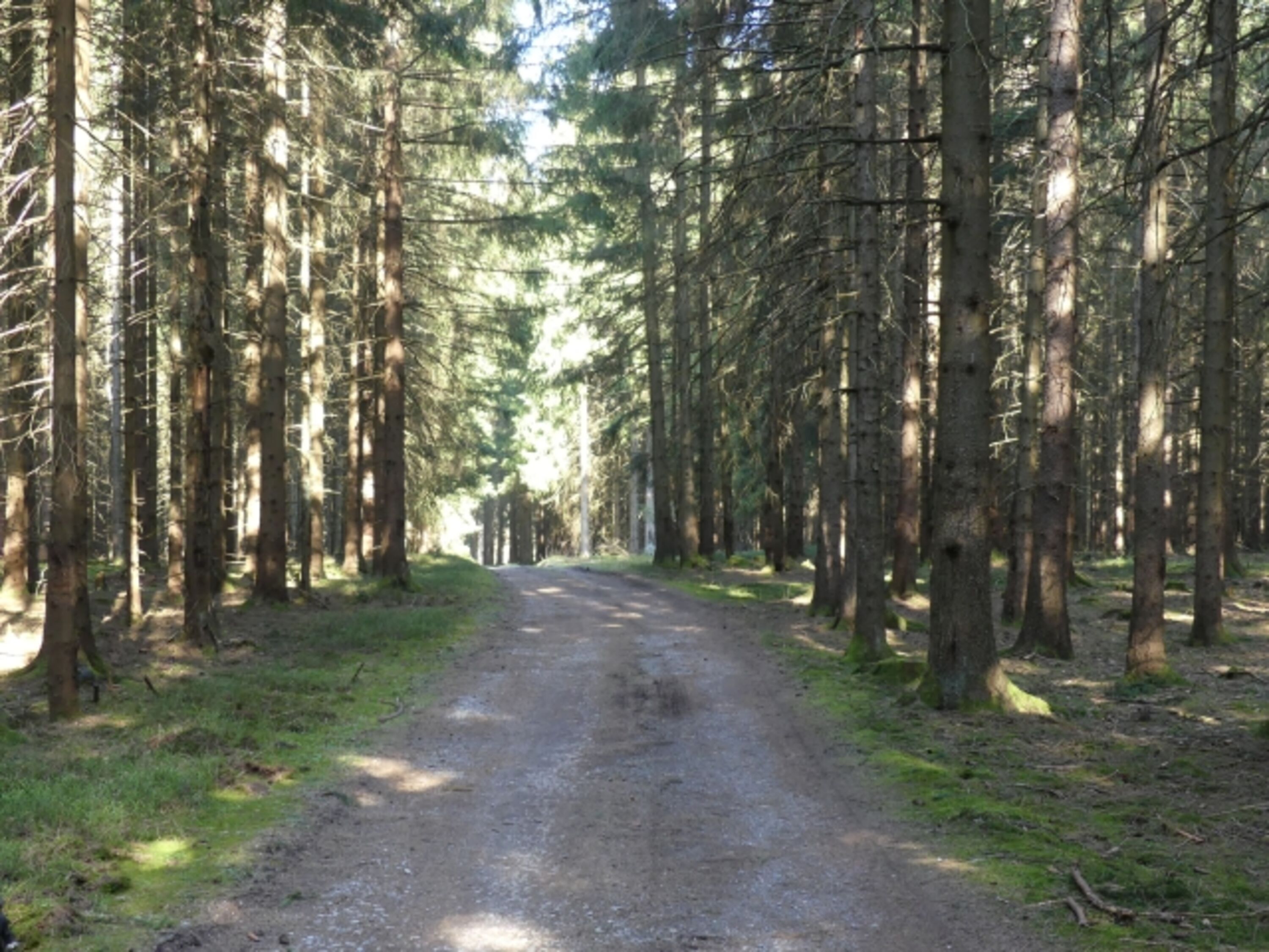 Bild 17