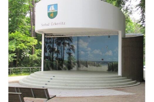 Kulturmuschel am Strand