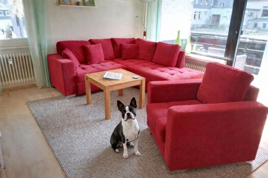 Gemütliches Wohnzimmer – genug Platz für euch und eure Vierbeiner