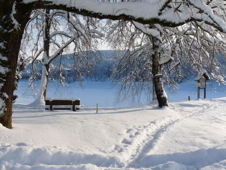 Blick auf  den großen Kranichteich
