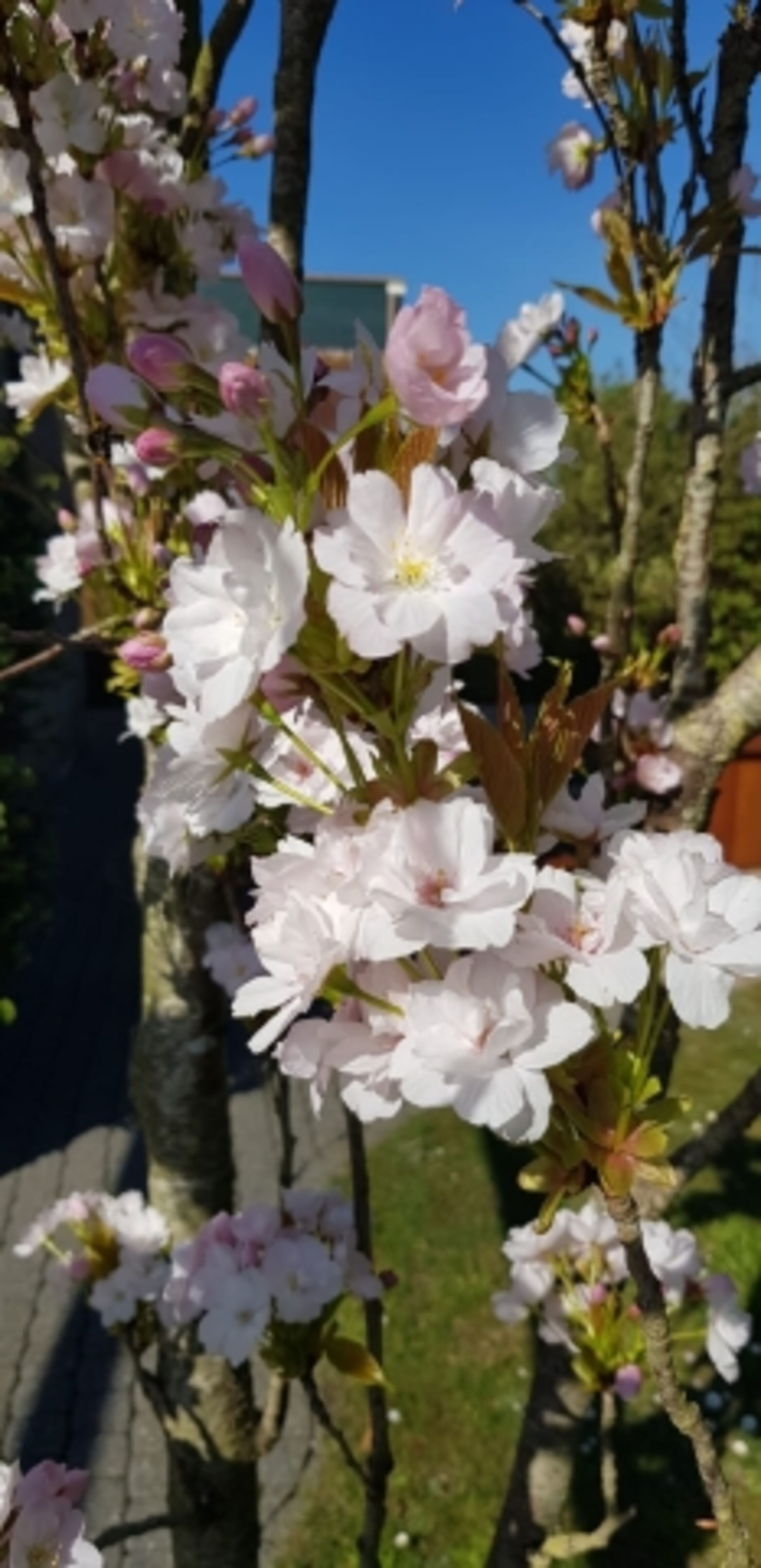 Bild 14
