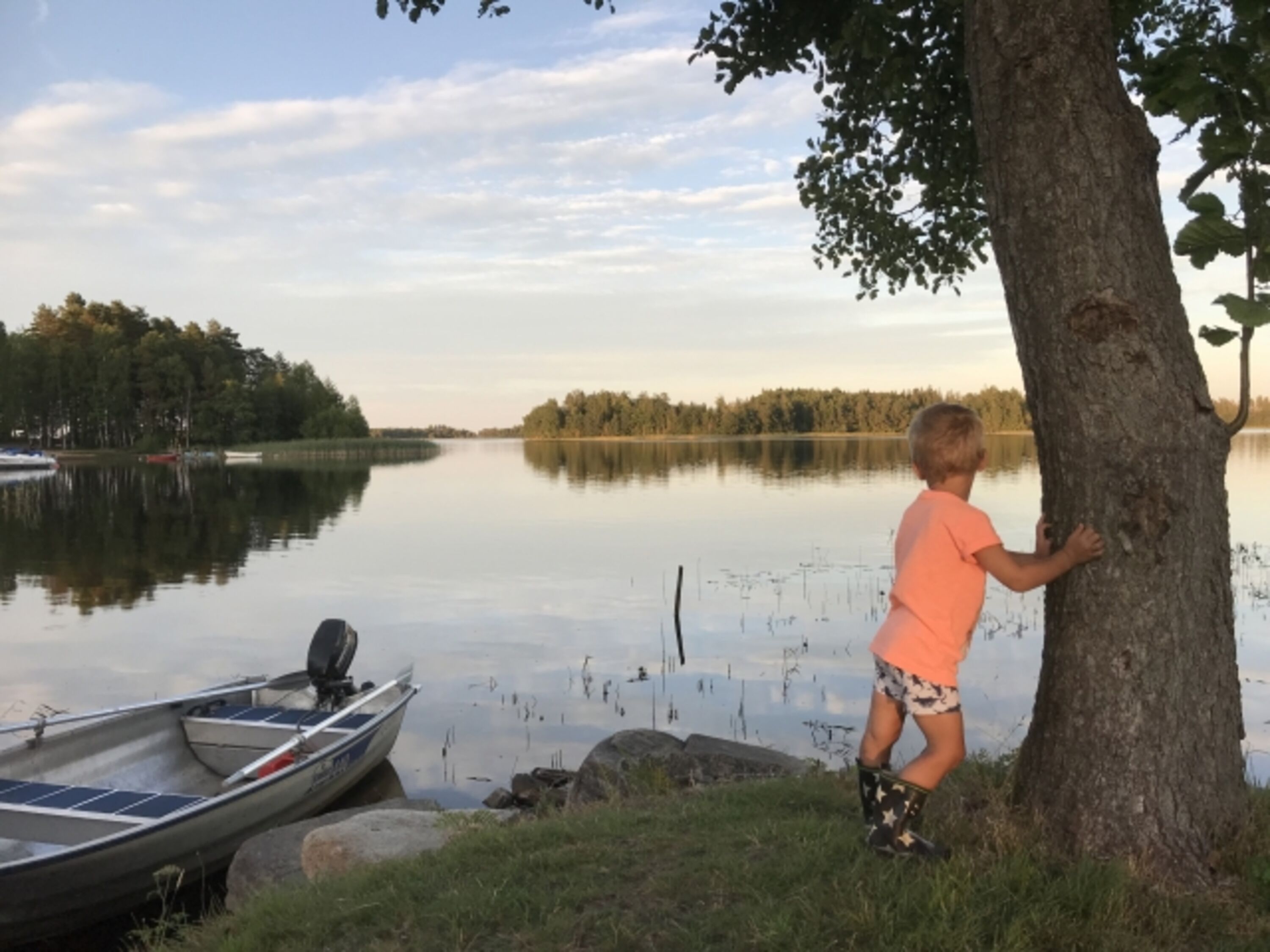 Bild 19