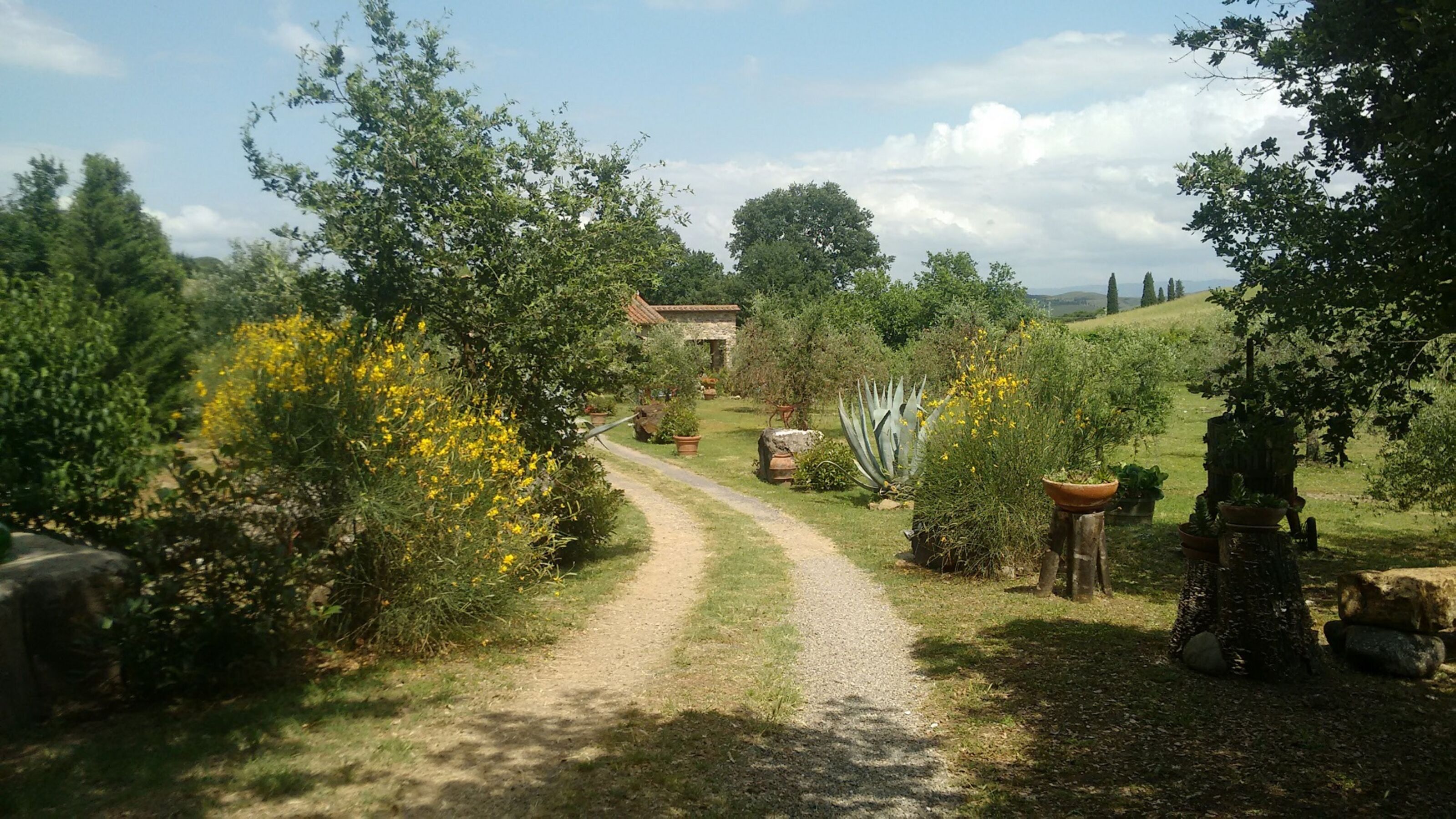 Bild 16