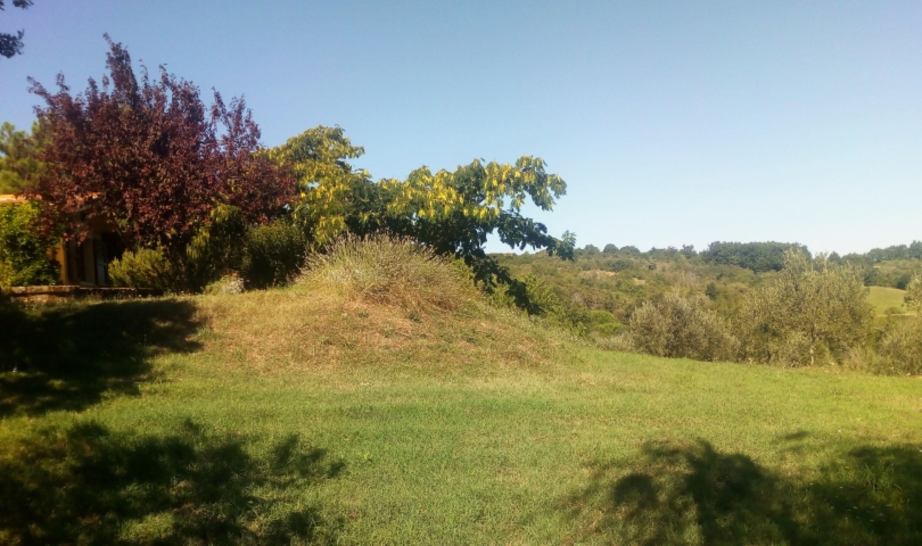 Bild 19