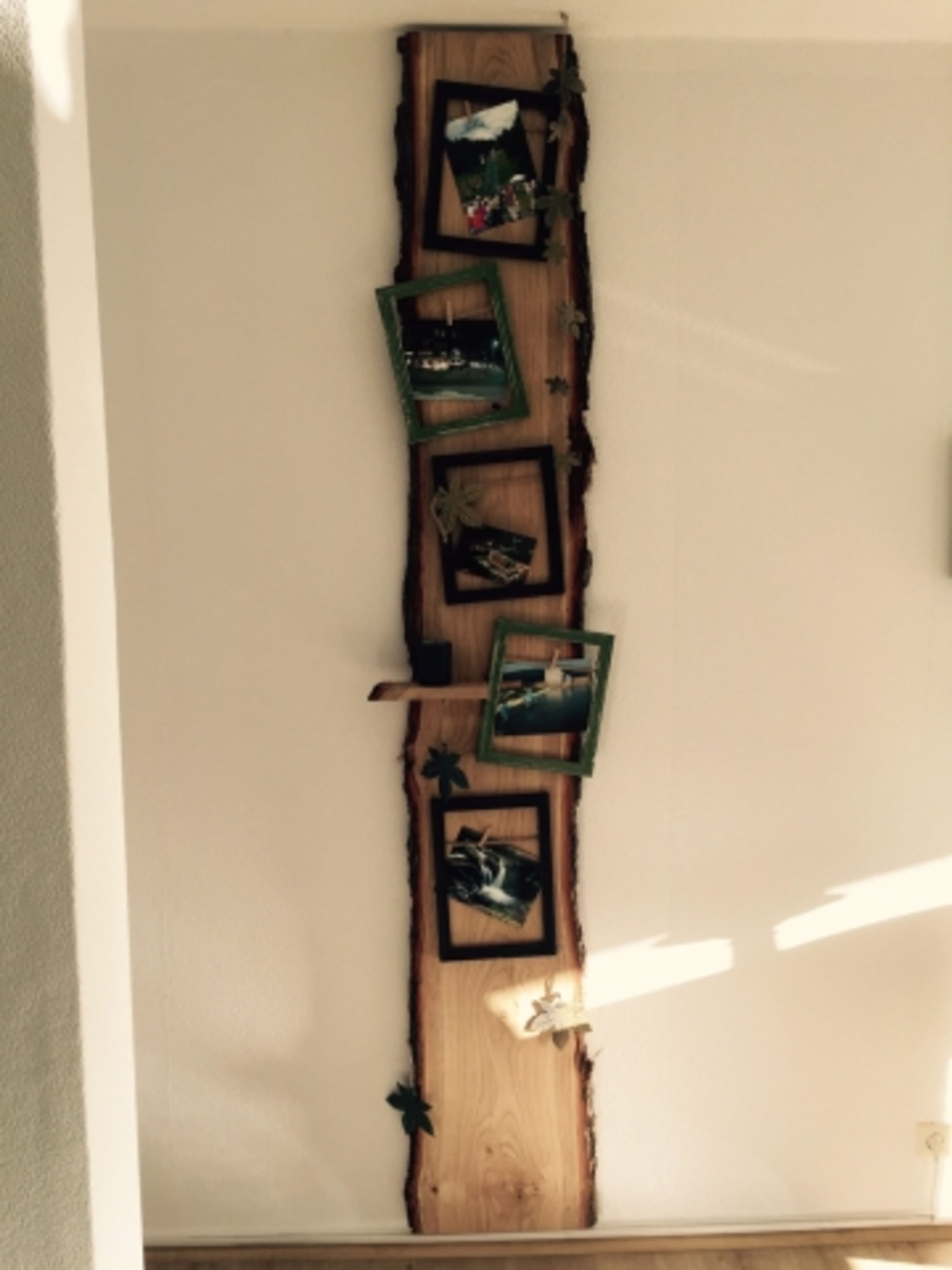 Unser Fotobaum