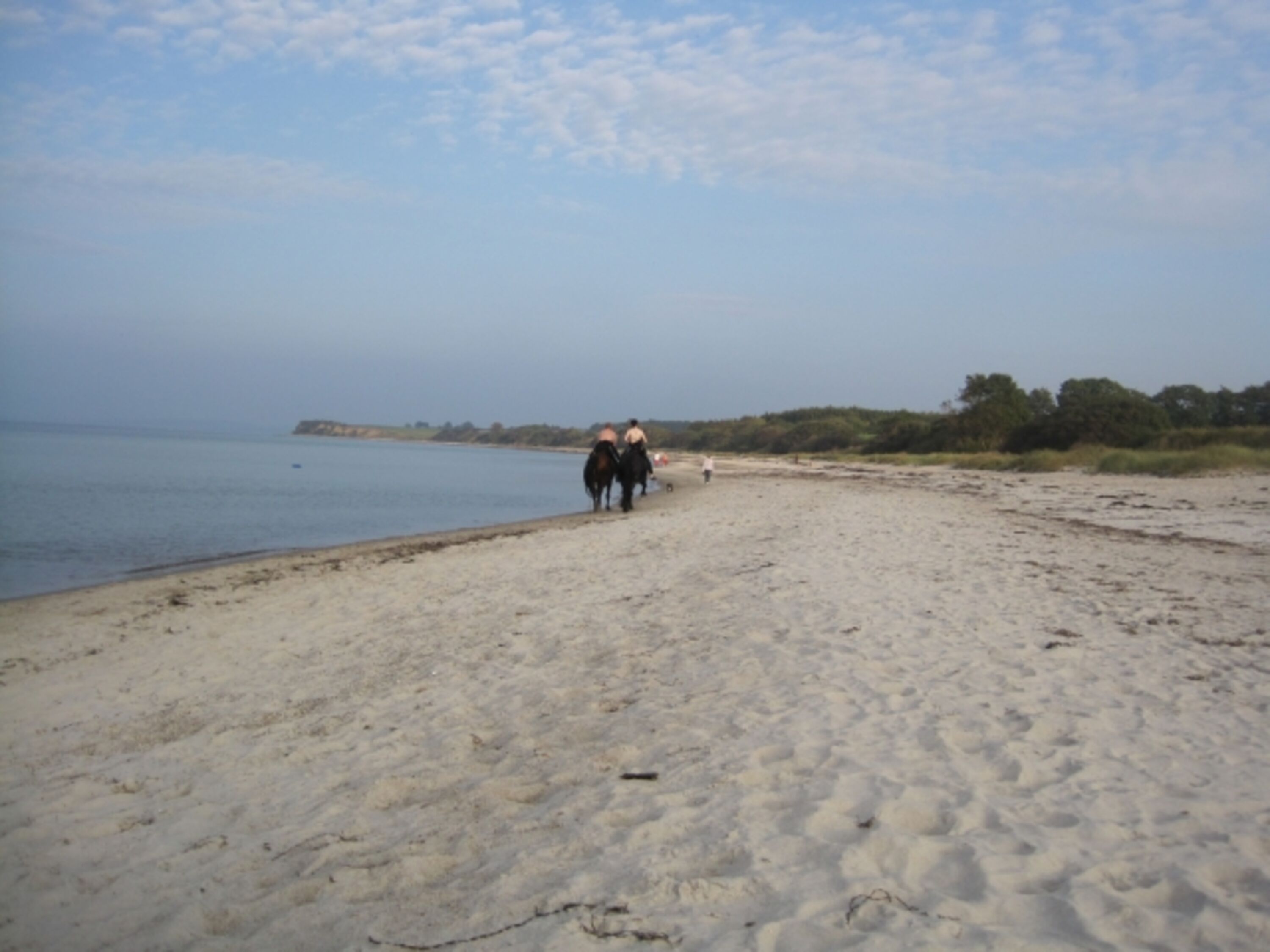 Bild 23
