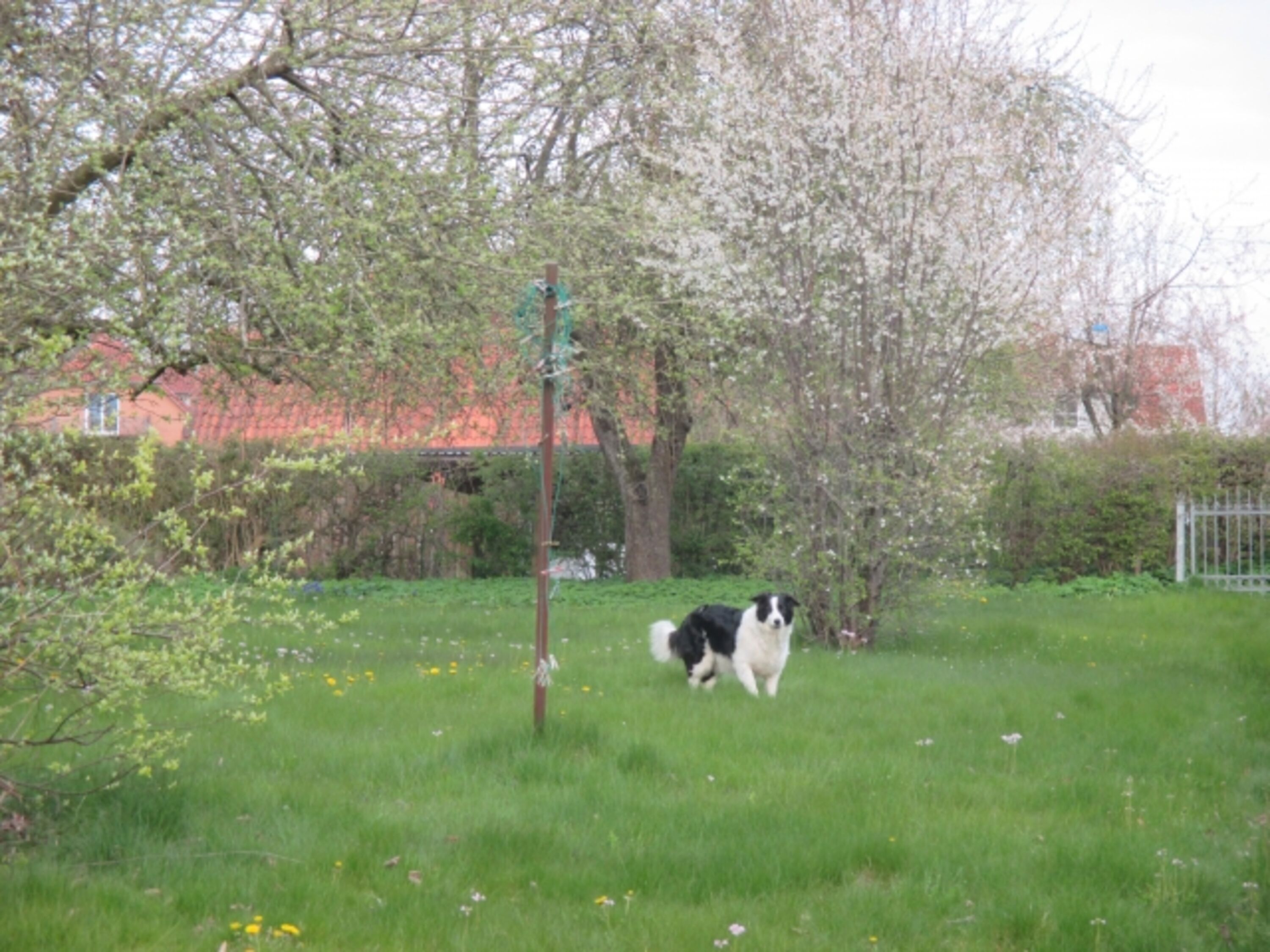 Bild 12