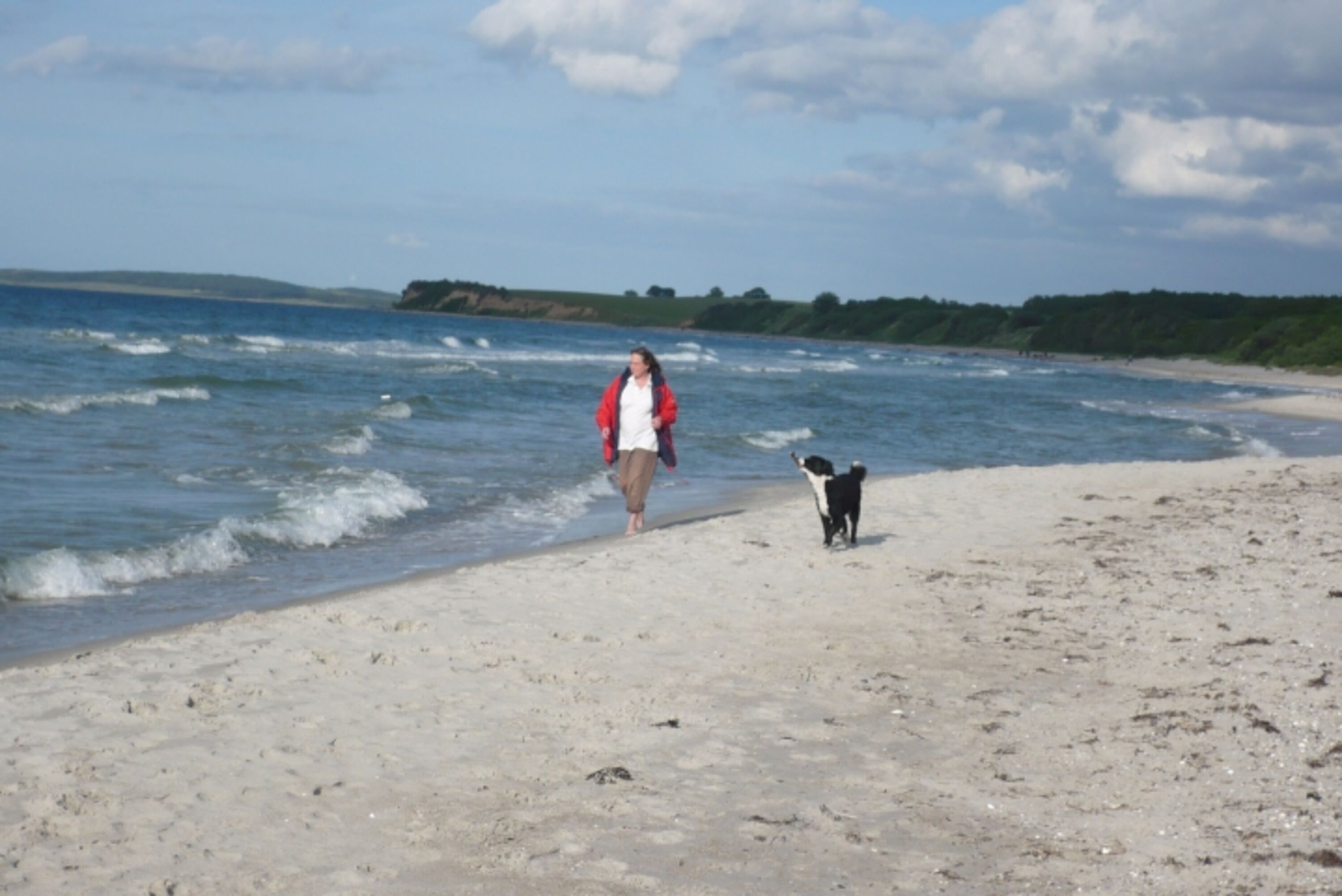 Am Hundestrand