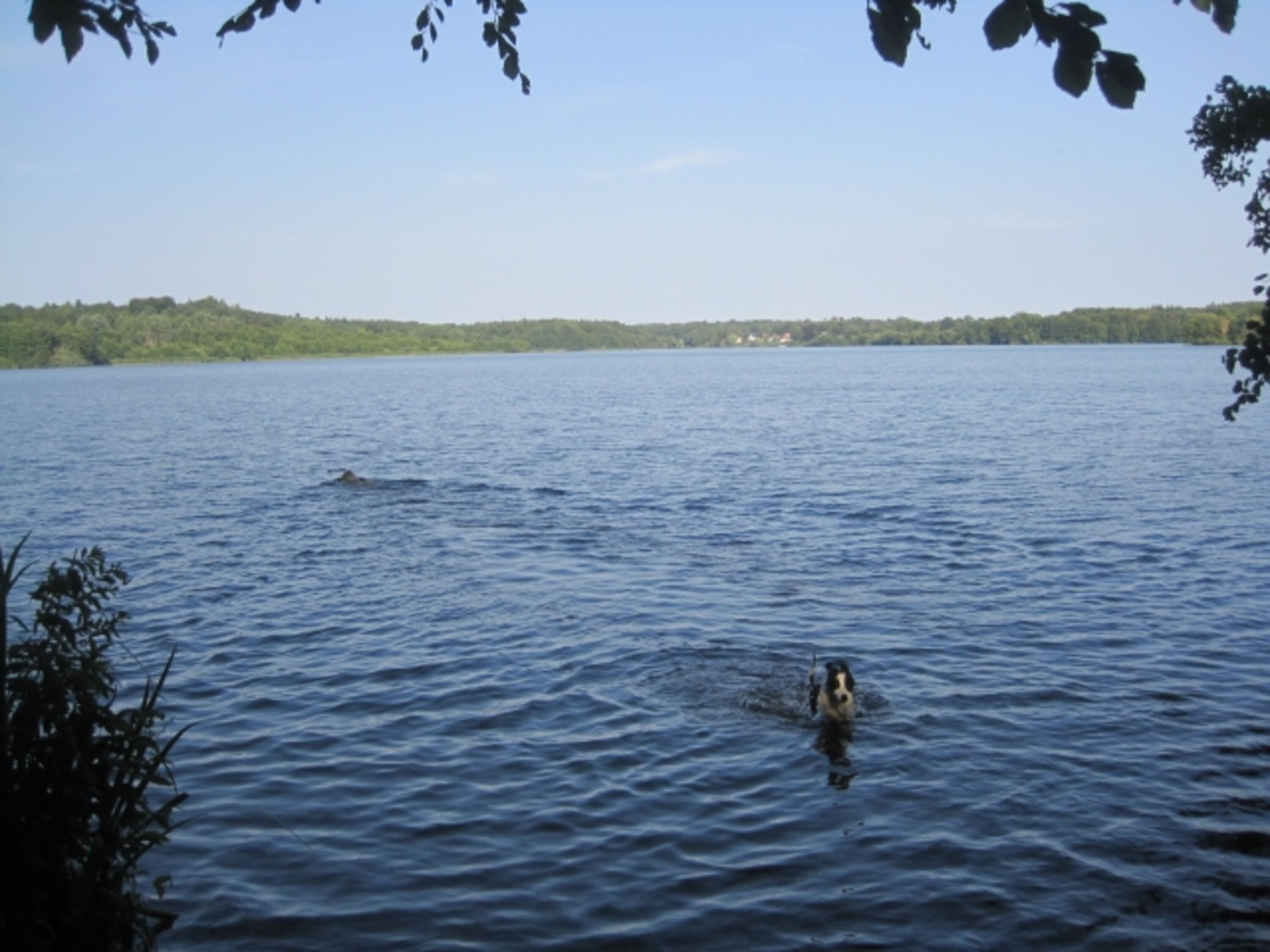 Bad im Eutiner See