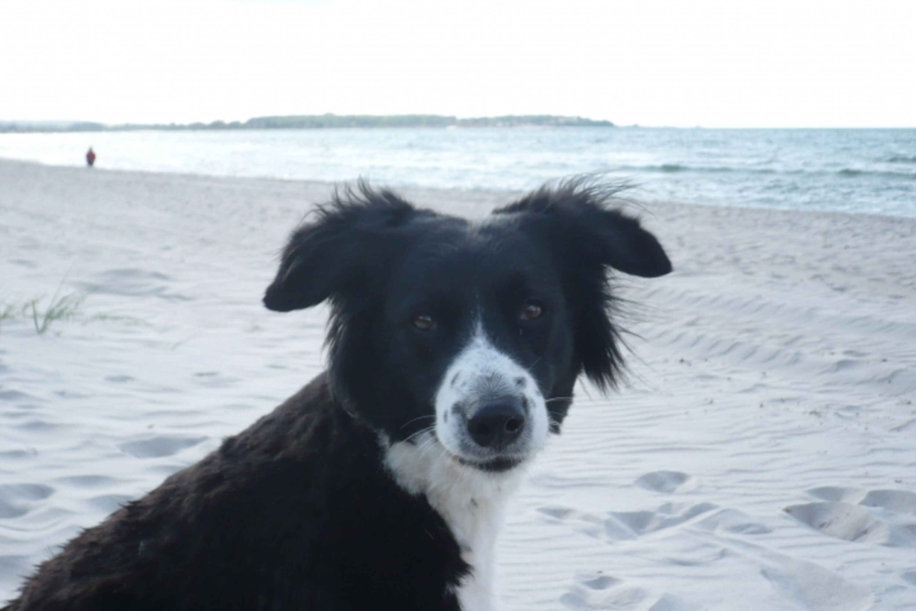 Bild 11