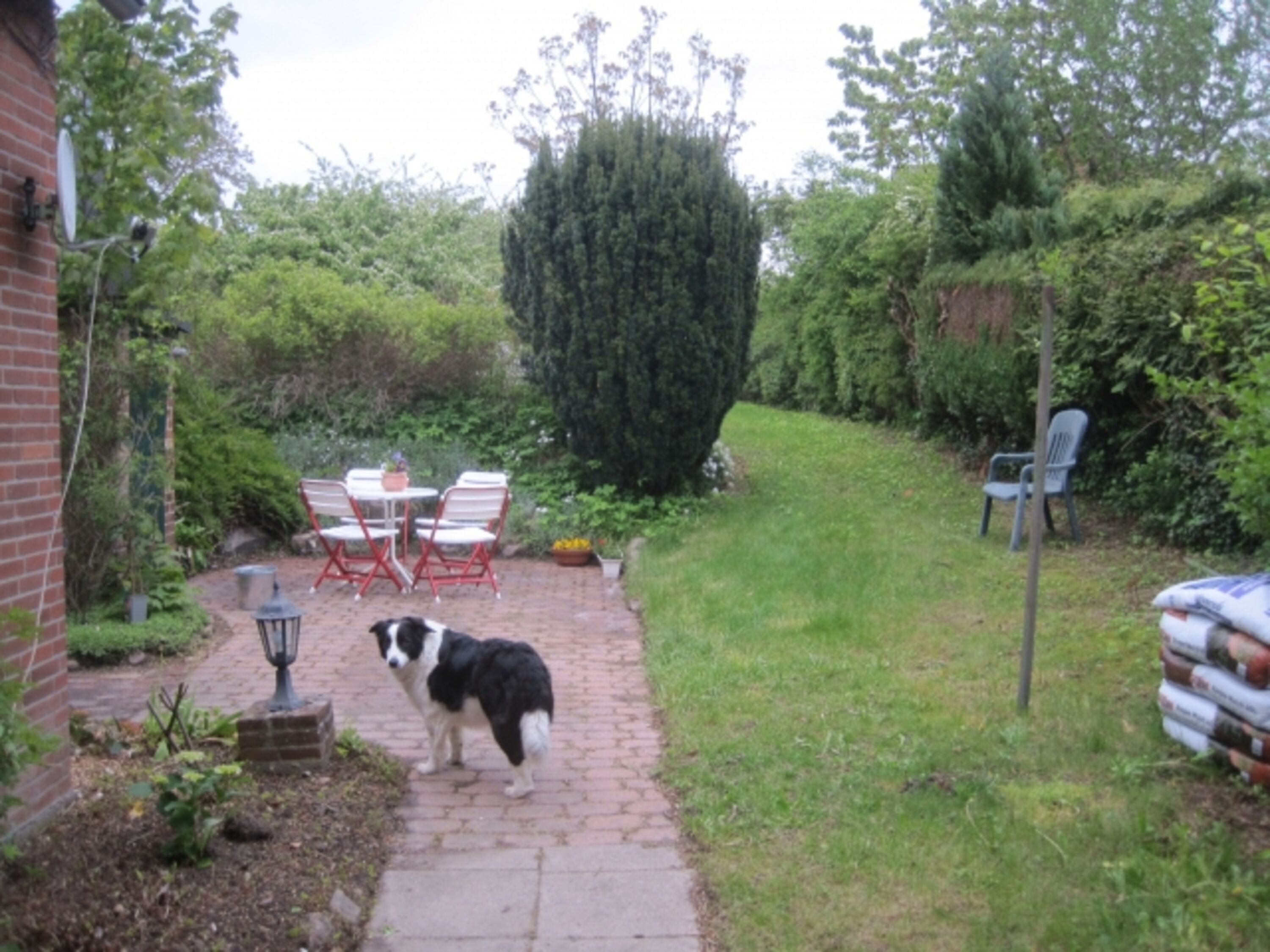 Bild 13