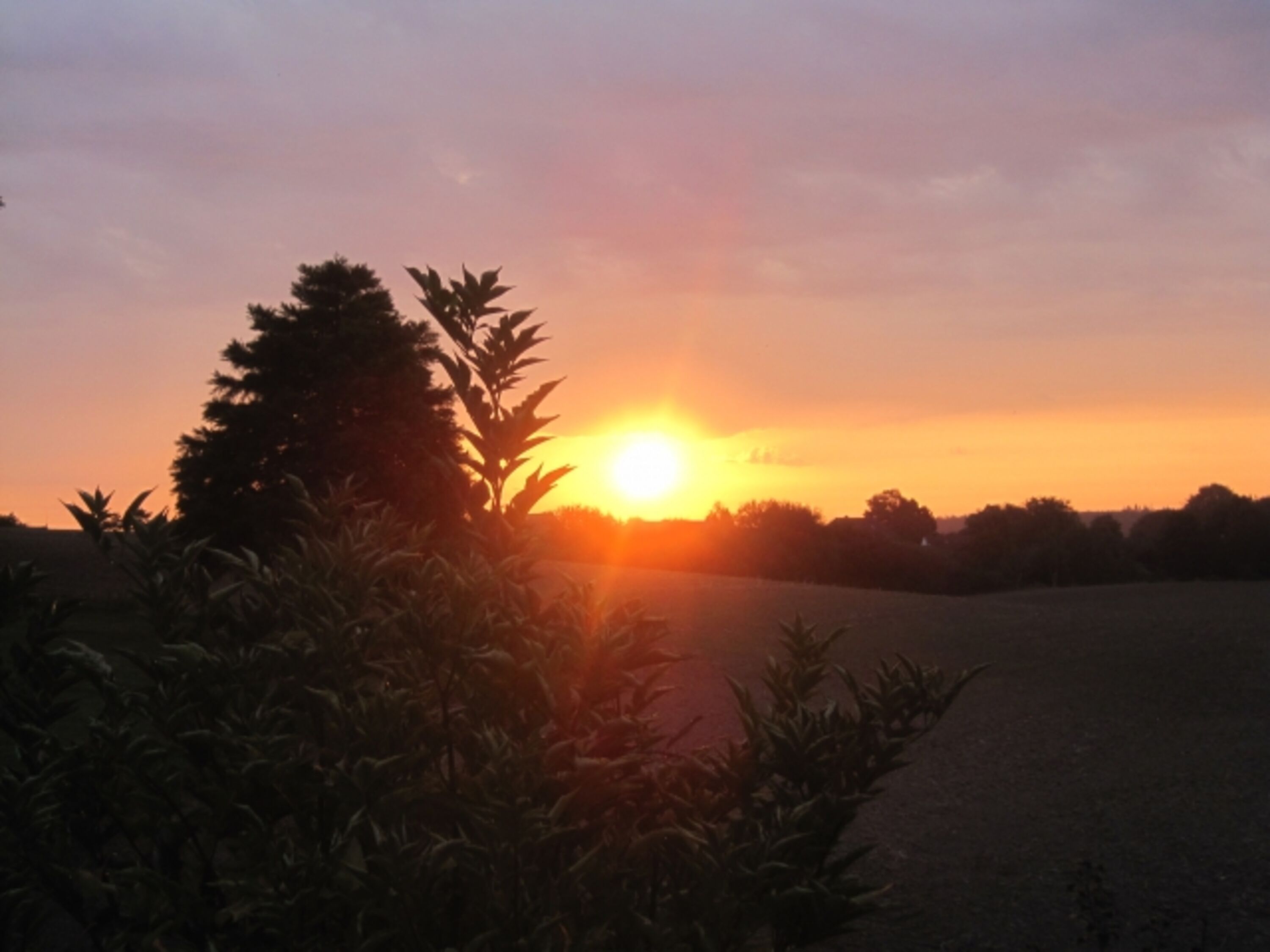 Bild 16