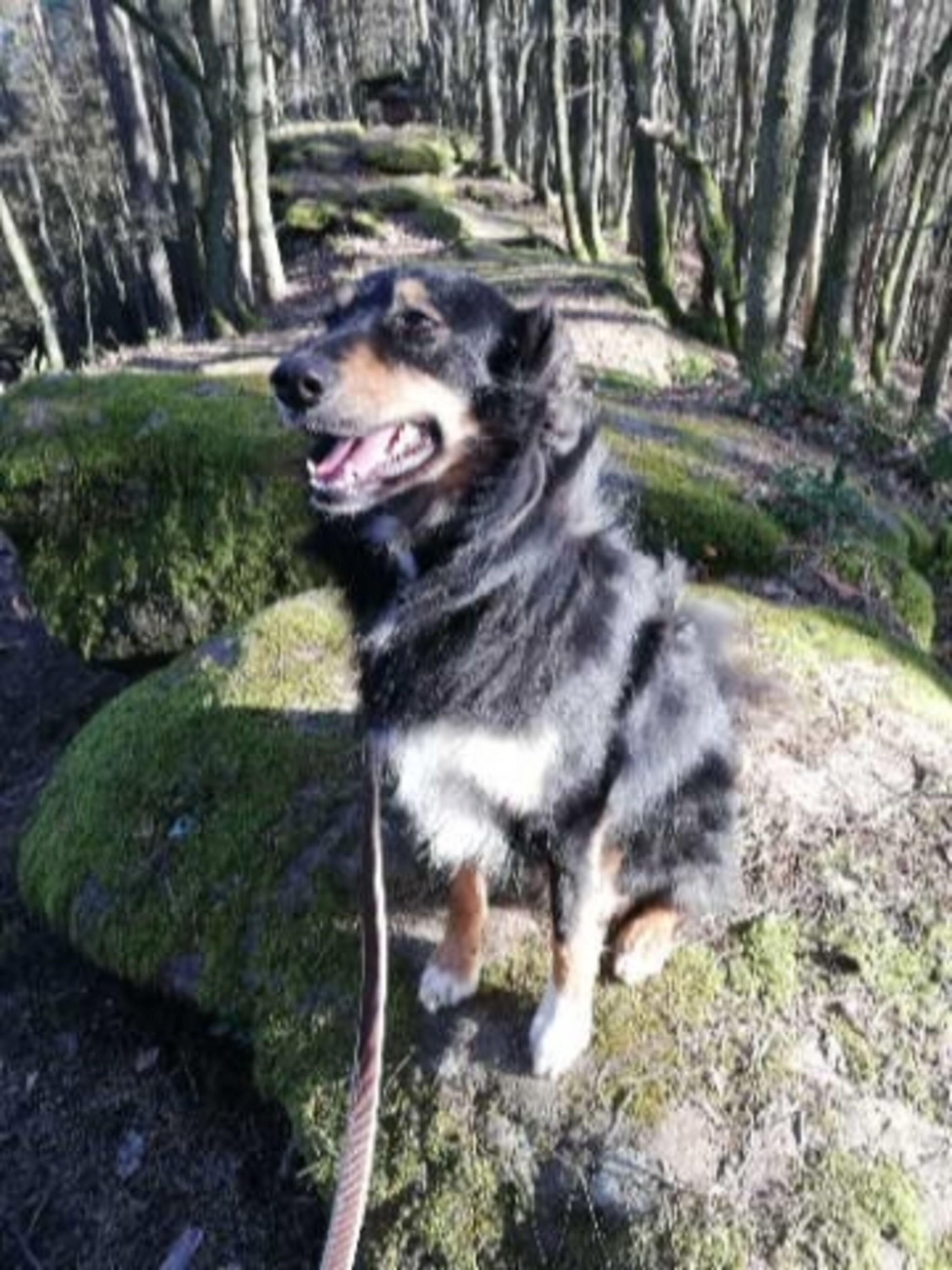 Bild 14