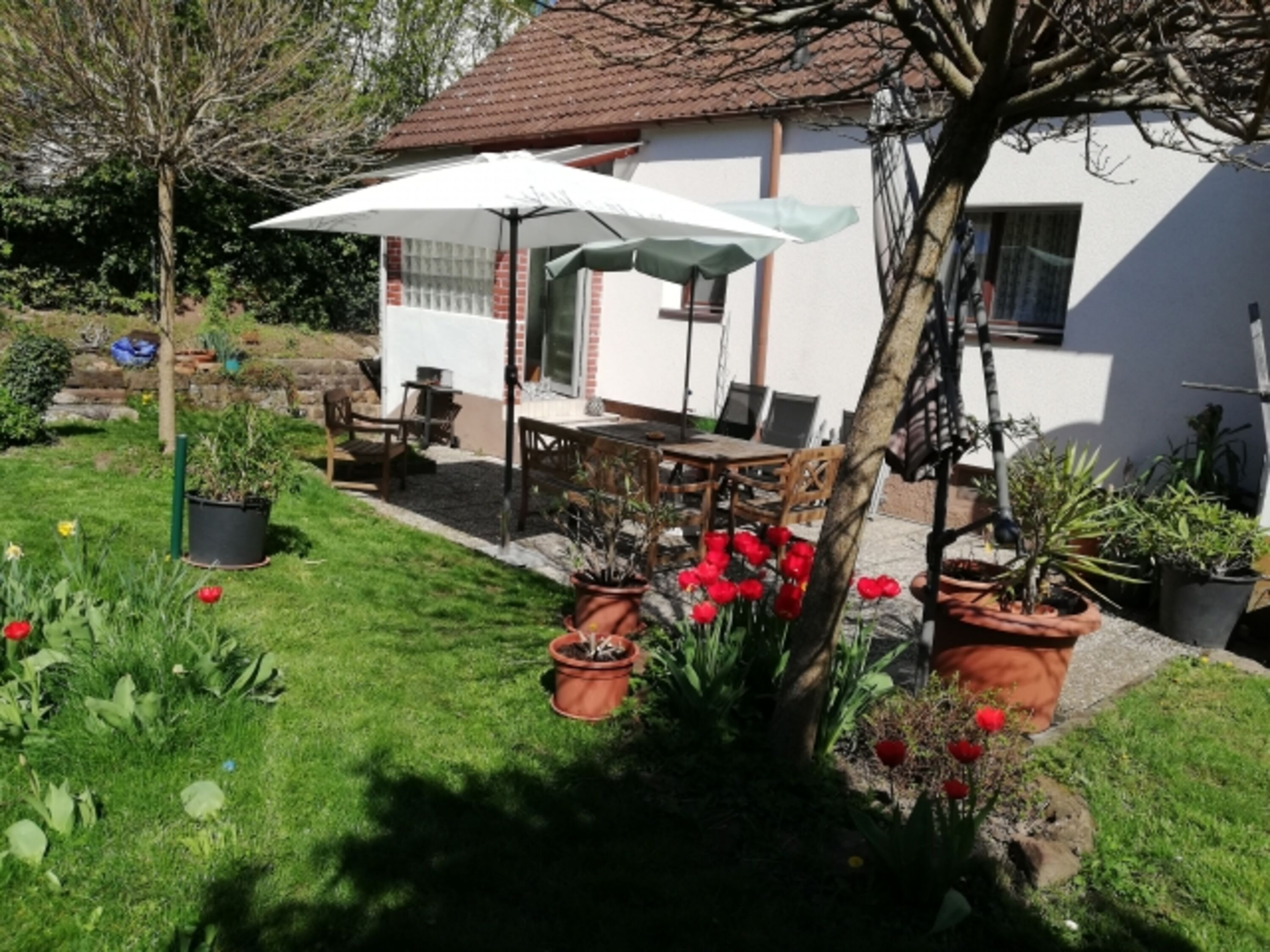 Bild 11