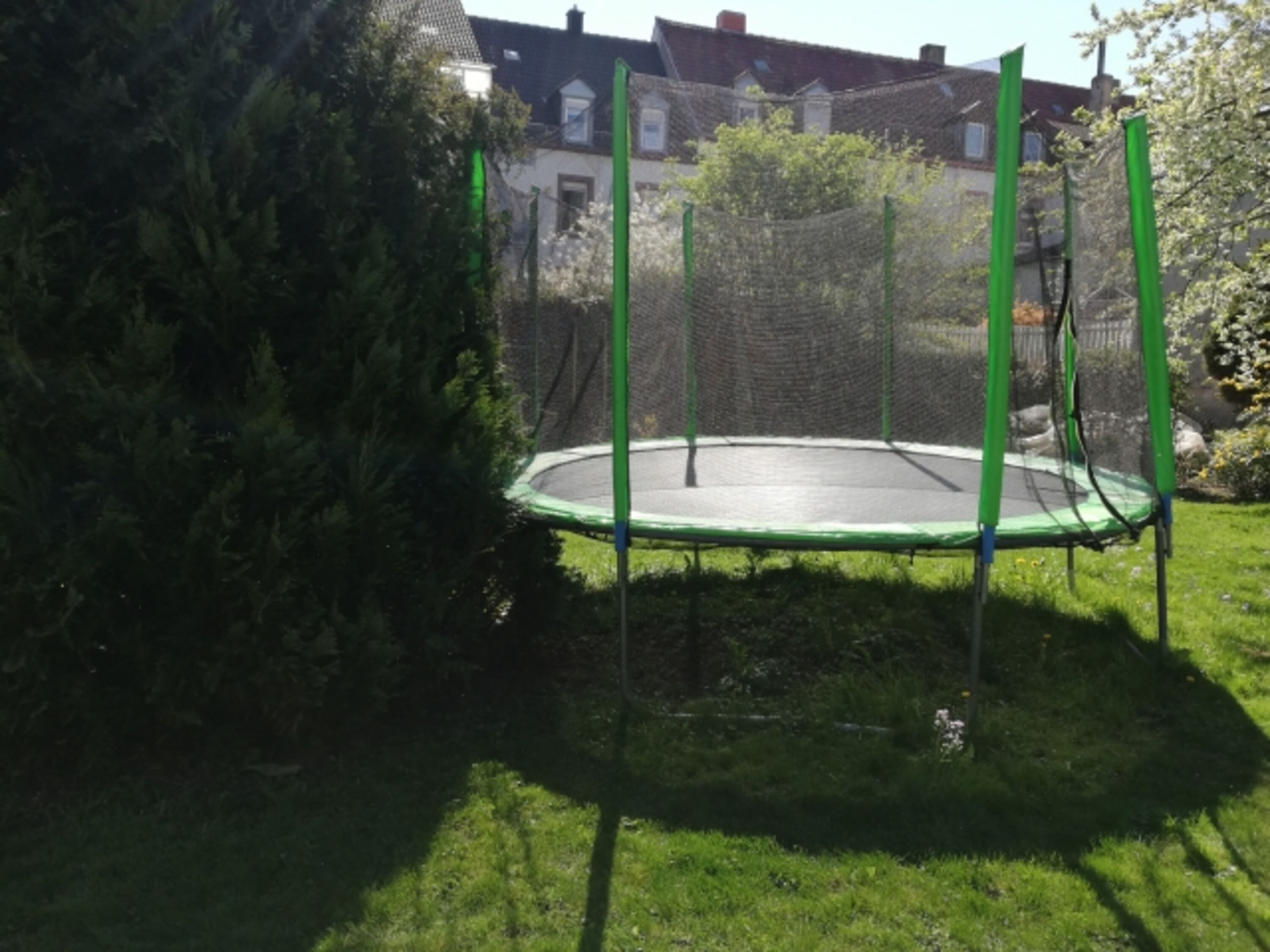 Bild 12