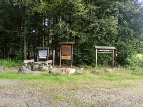 Wanderparkplatz Guglöd, von hier aus gibt es z.b. eine schöne Tour zur Rachelsdiensthütte und weiter 