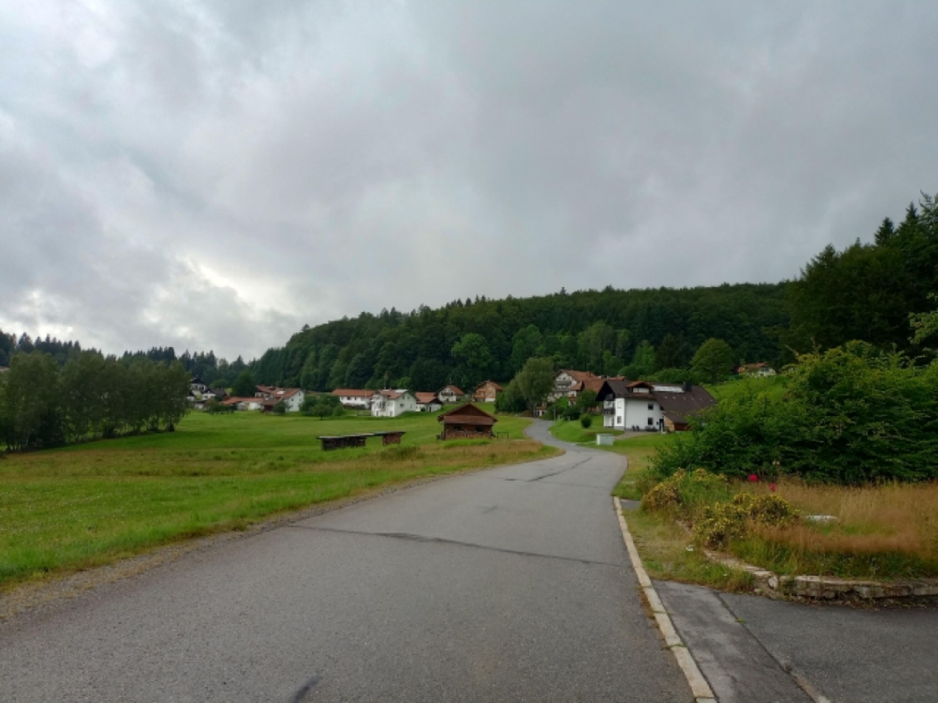 Guglöd 