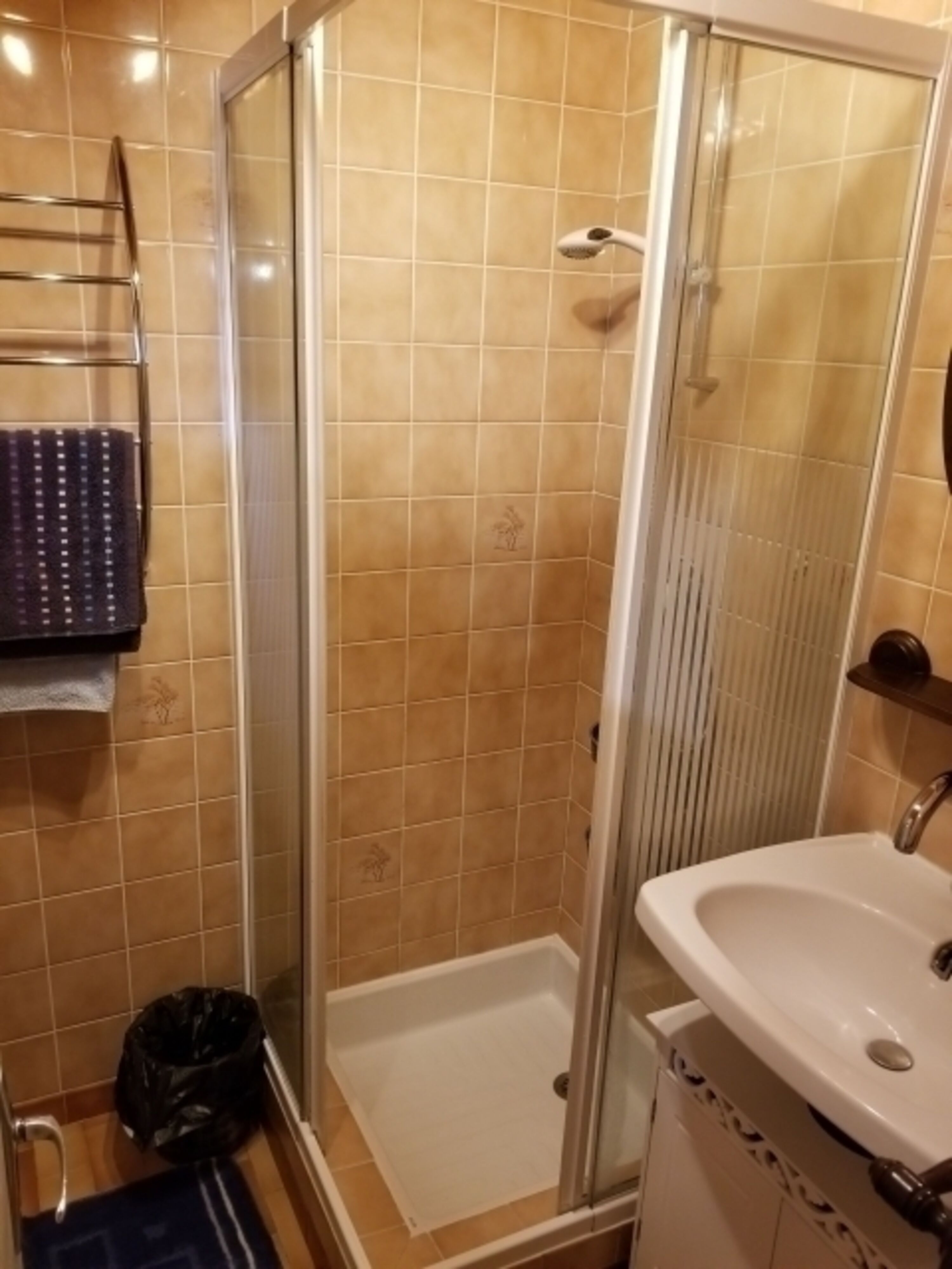 Dusche im Erdgeschoss