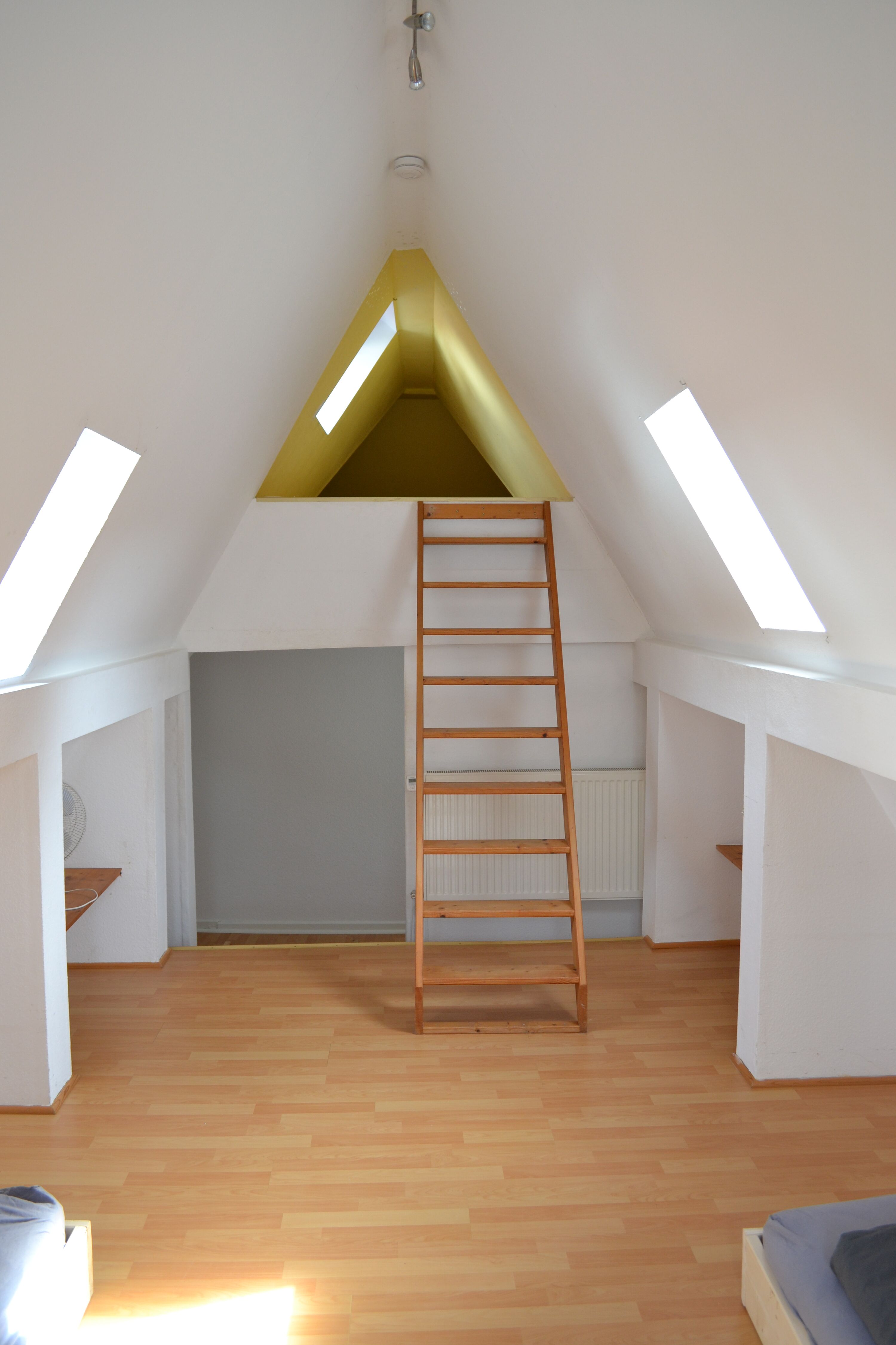 Bild 15