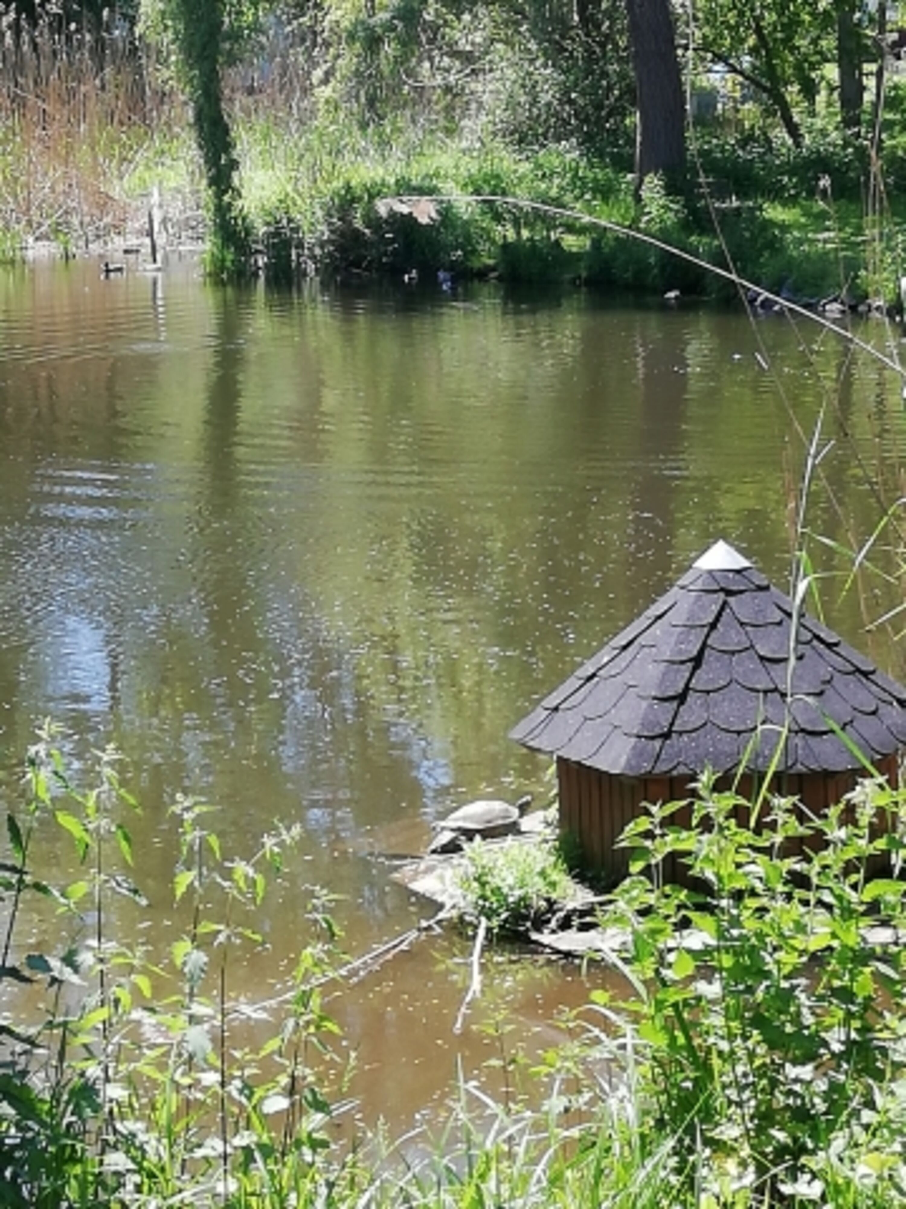 Bild 3