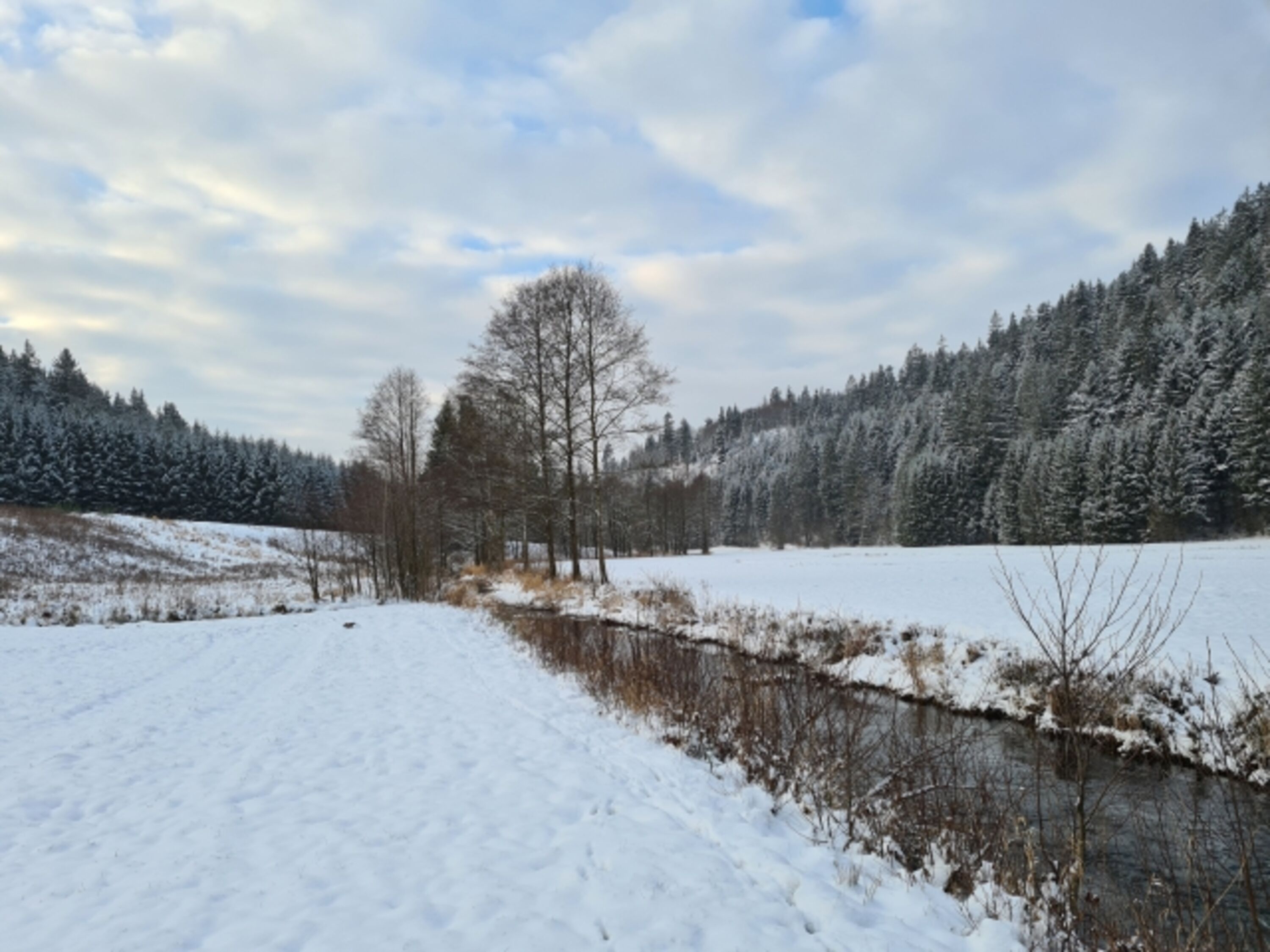 Bild 14