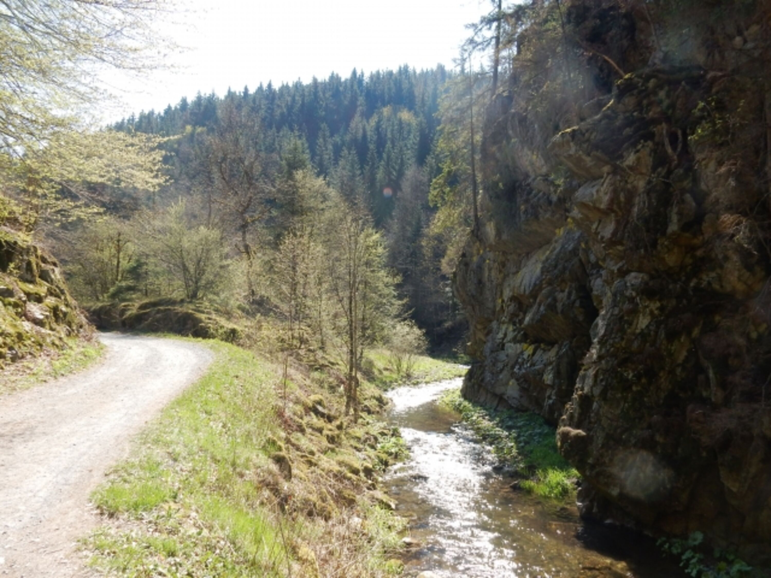 Bild 18