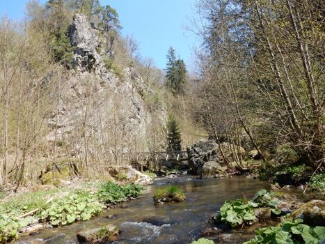 Impressionen von der Umgebung 