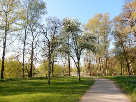 Impressionen von der Umgebung 