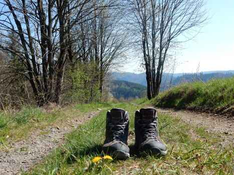 Impressionen von der Umgebung 