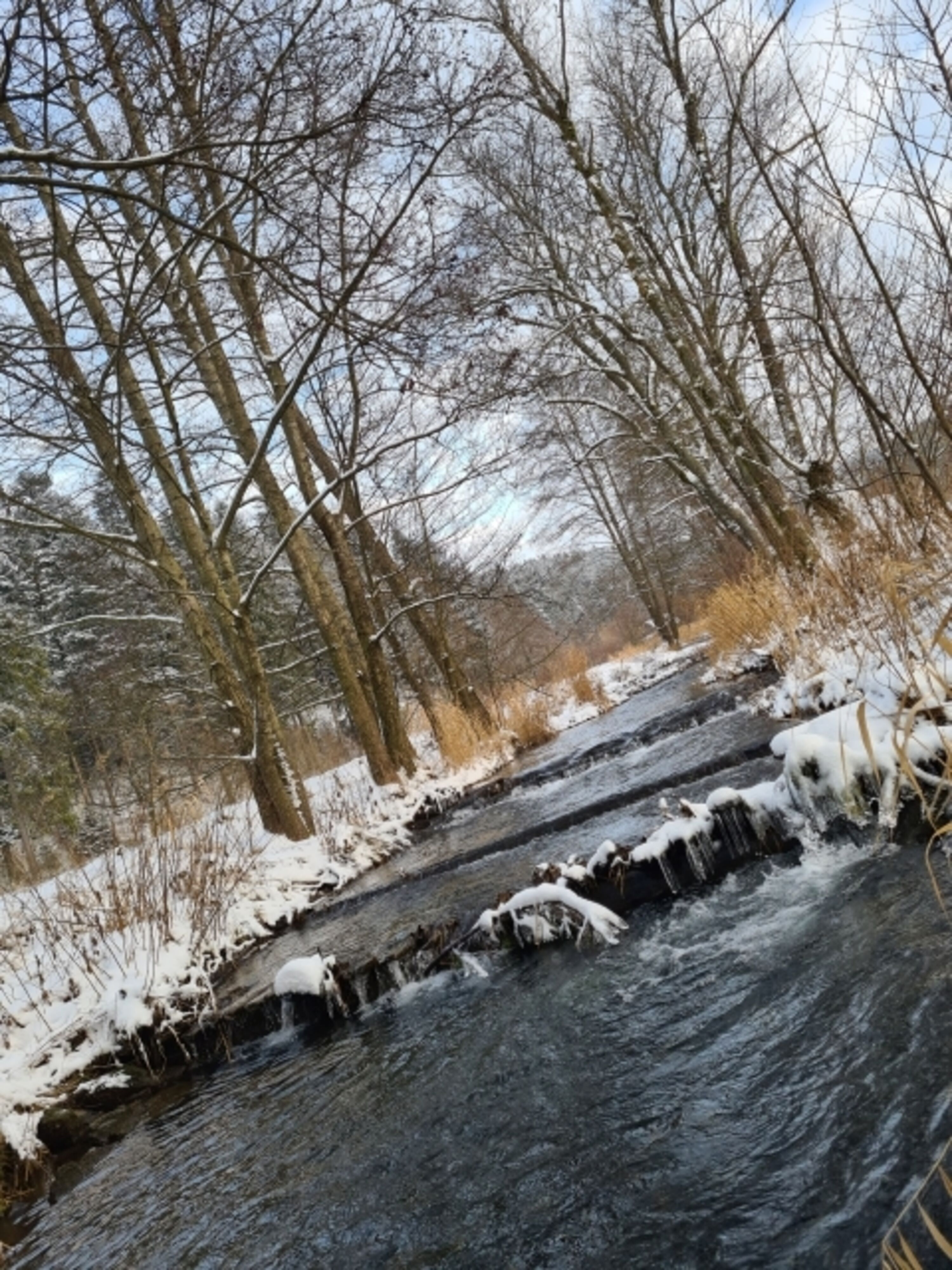Impressionen von der Umgebung 
