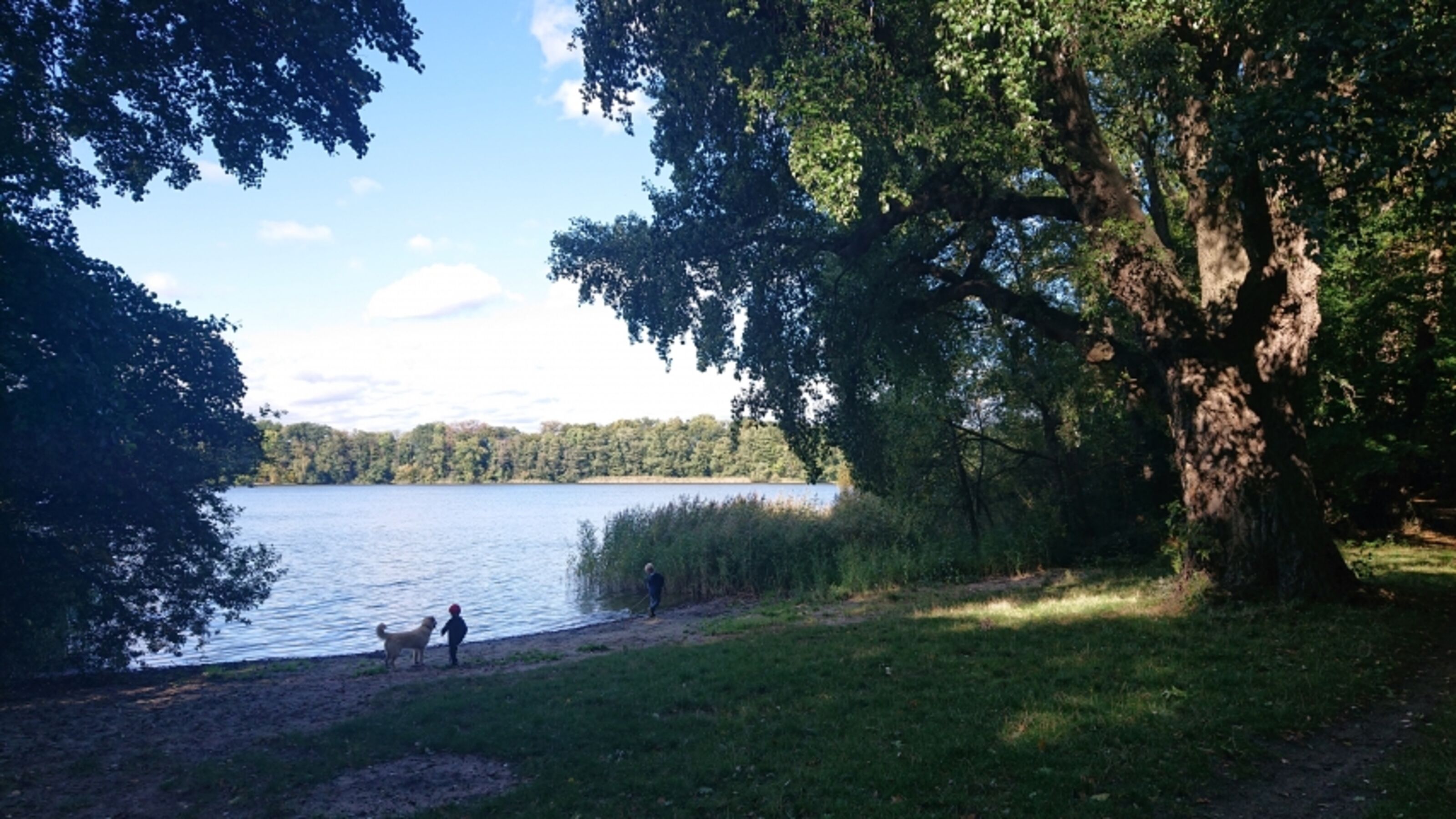 Boissower See