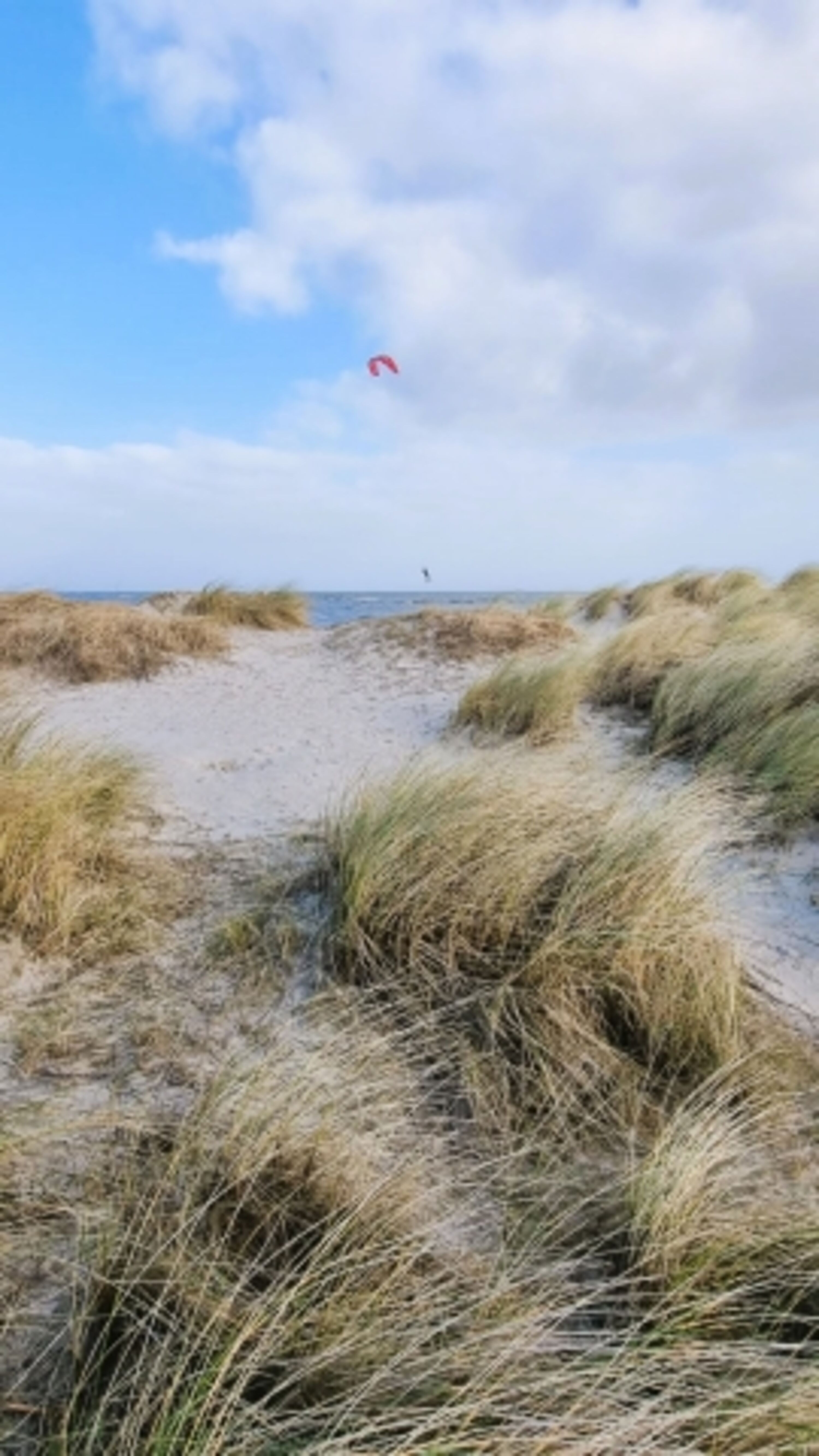 herrliche Dünen