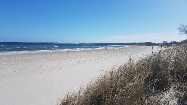 Sehlendorfer Strand im Frühjahr 