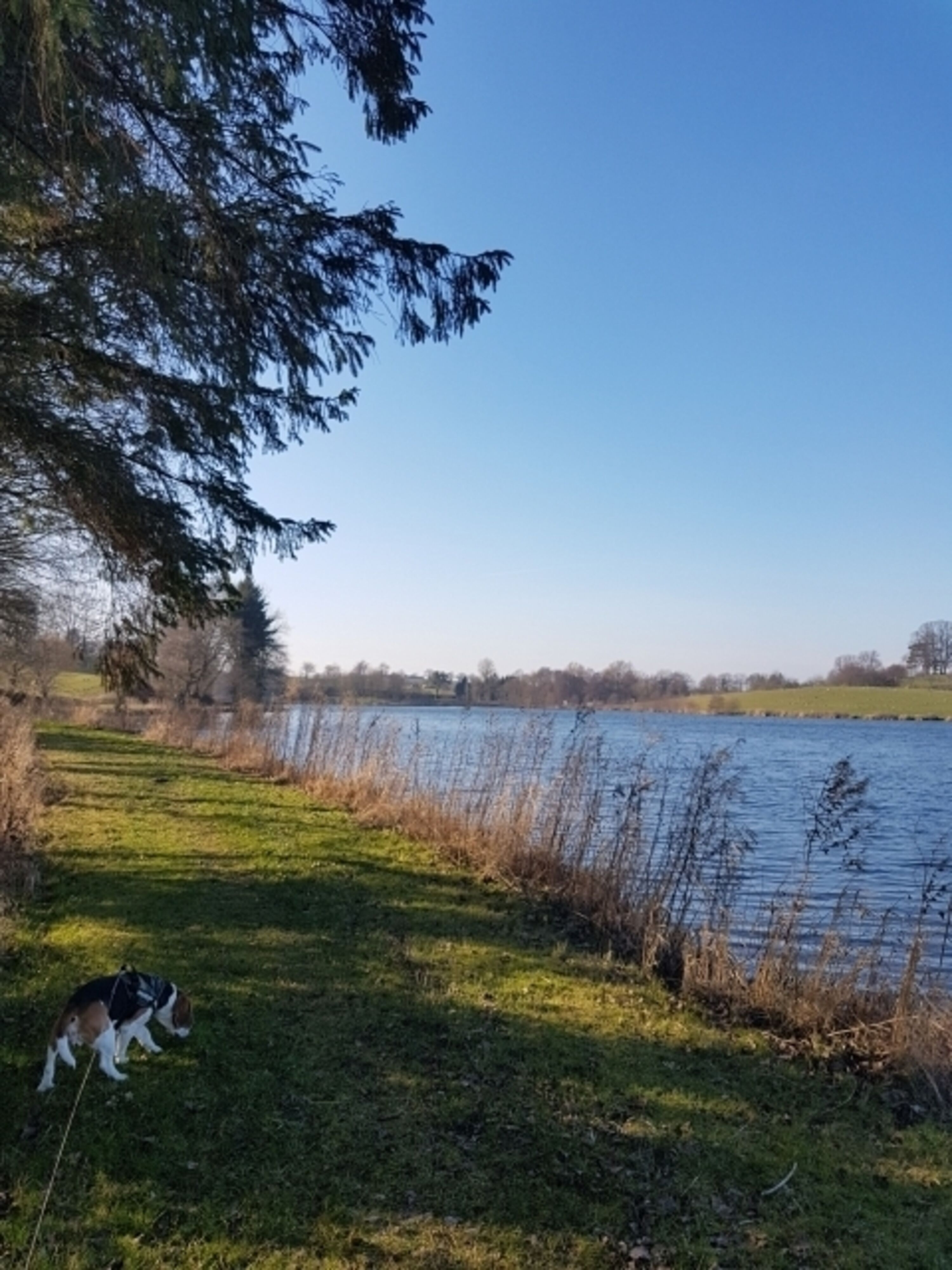 Bild 19