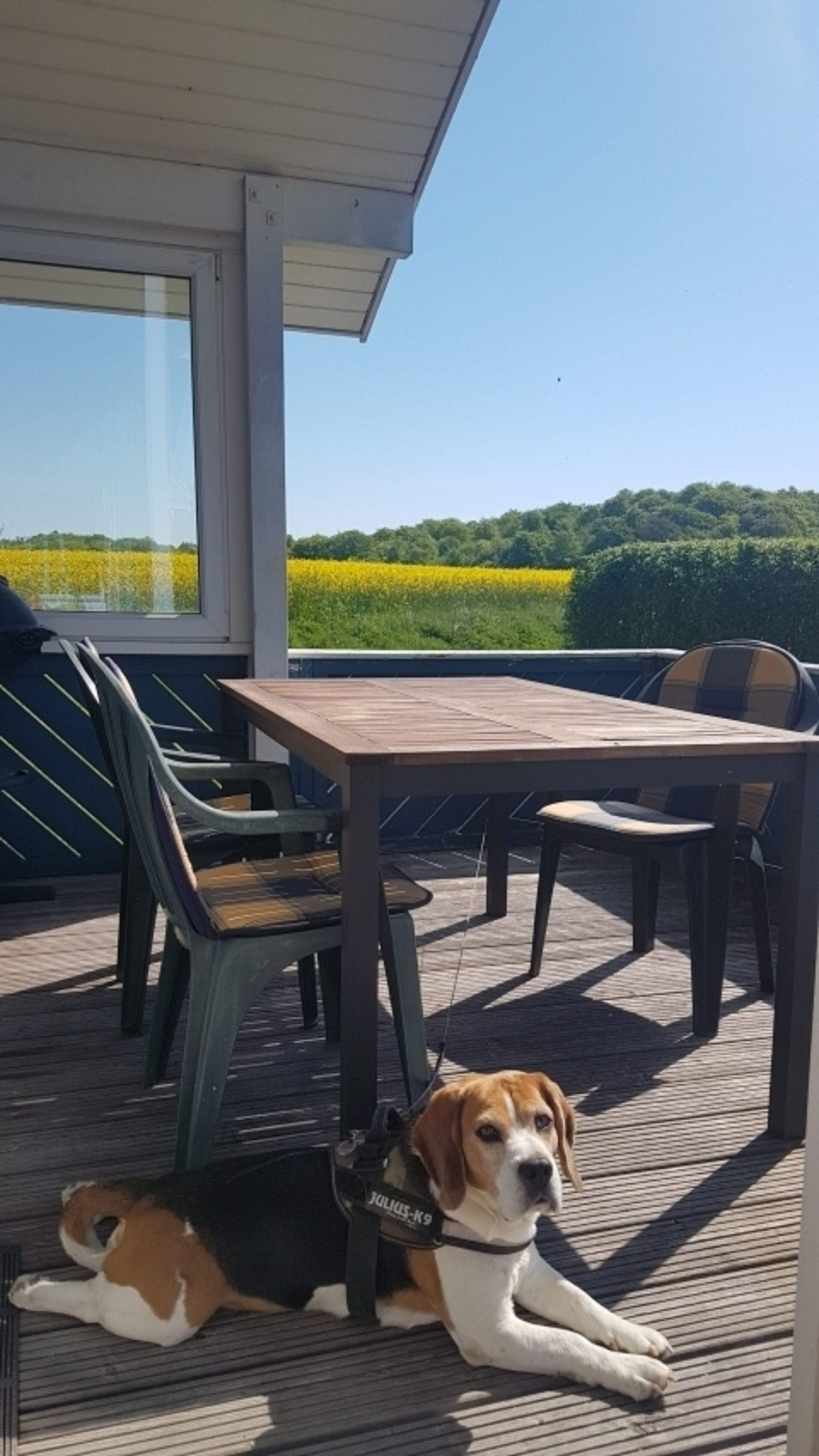 Bild 15