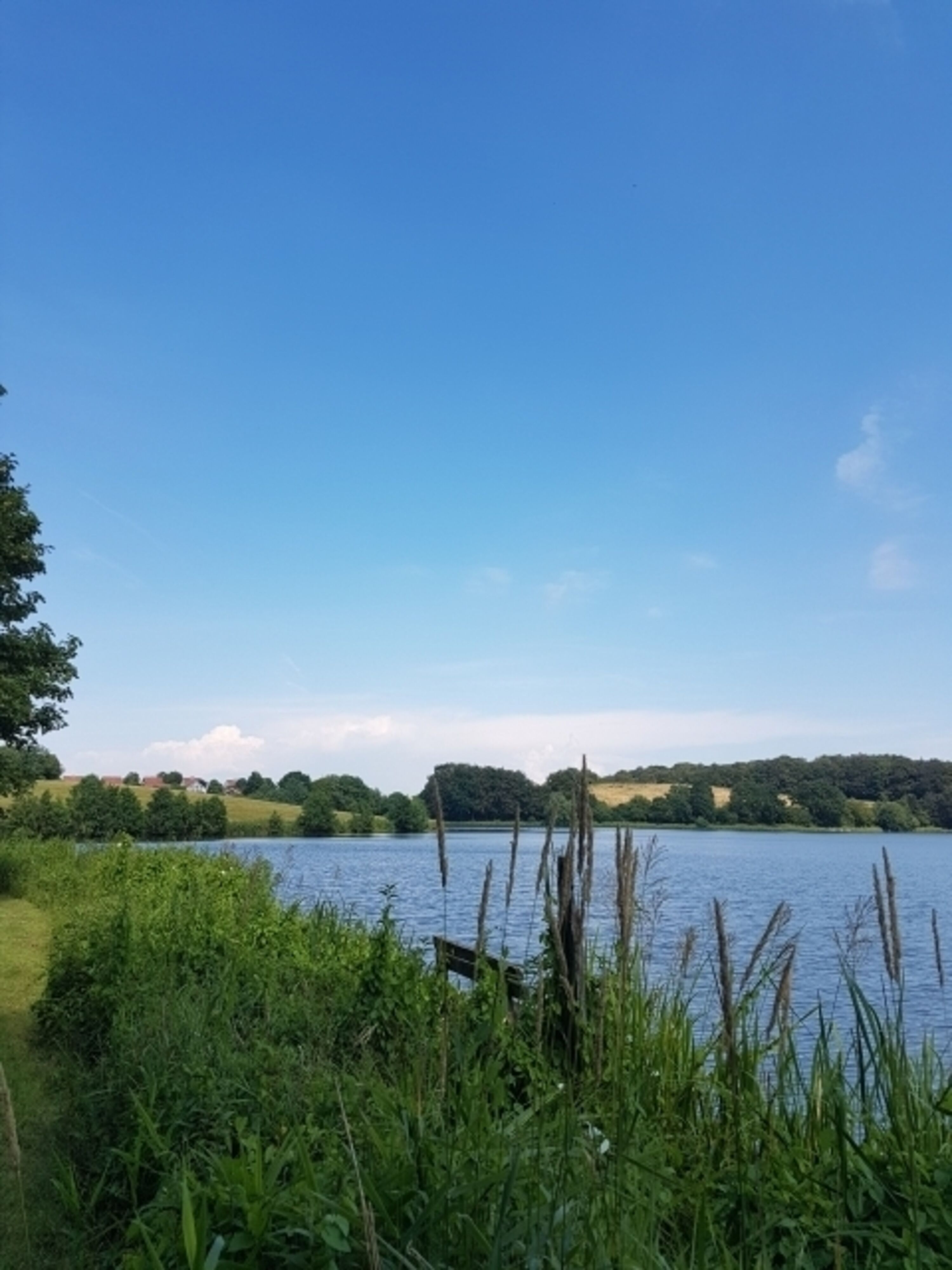 Bild 17