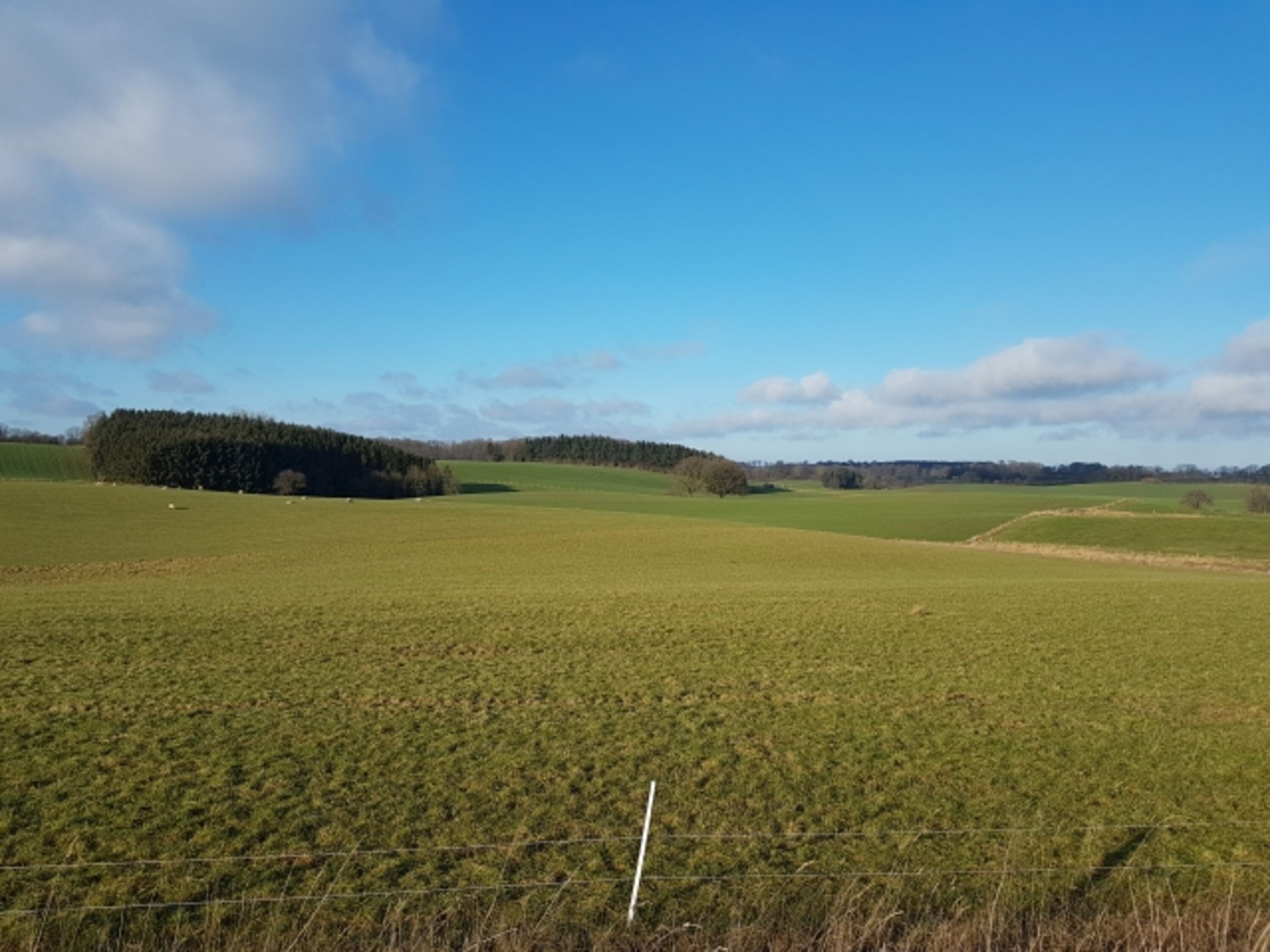Bild 22