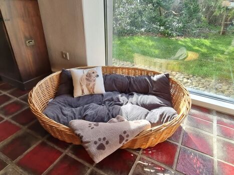 Hunde aller Rassen und Größen herzlich willkommen