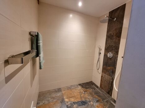 große, ebenerdige Wellnessdusche im Wellnessbereich