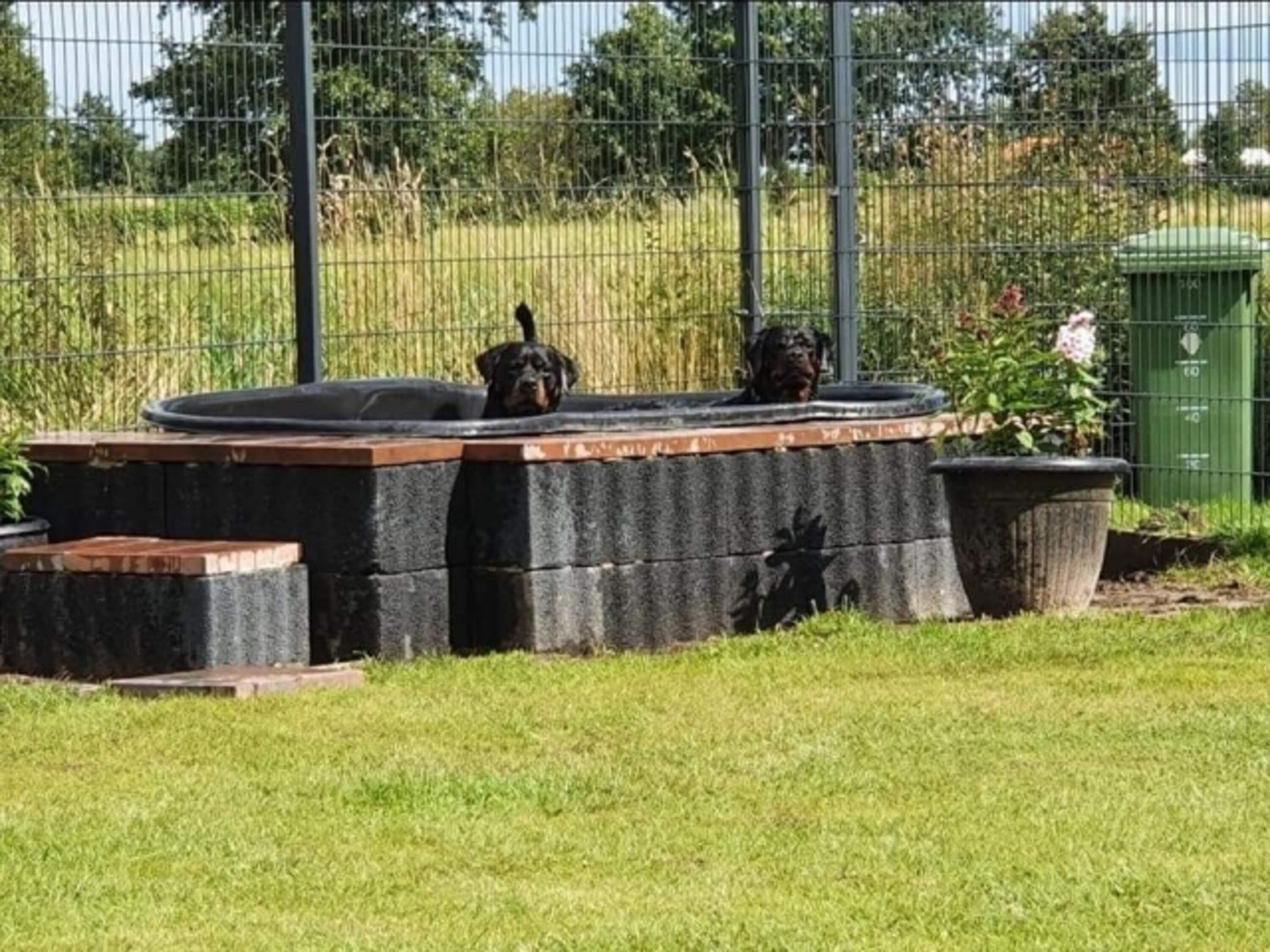 Garten