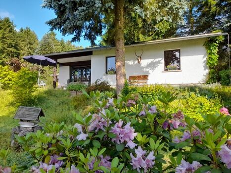 Hausansicht im Sommer mit Garten