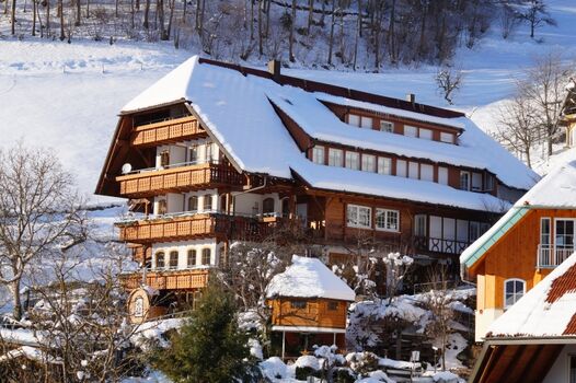 Ehrenmättlehof im Winter