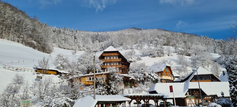 Ehrenmättle im Winter