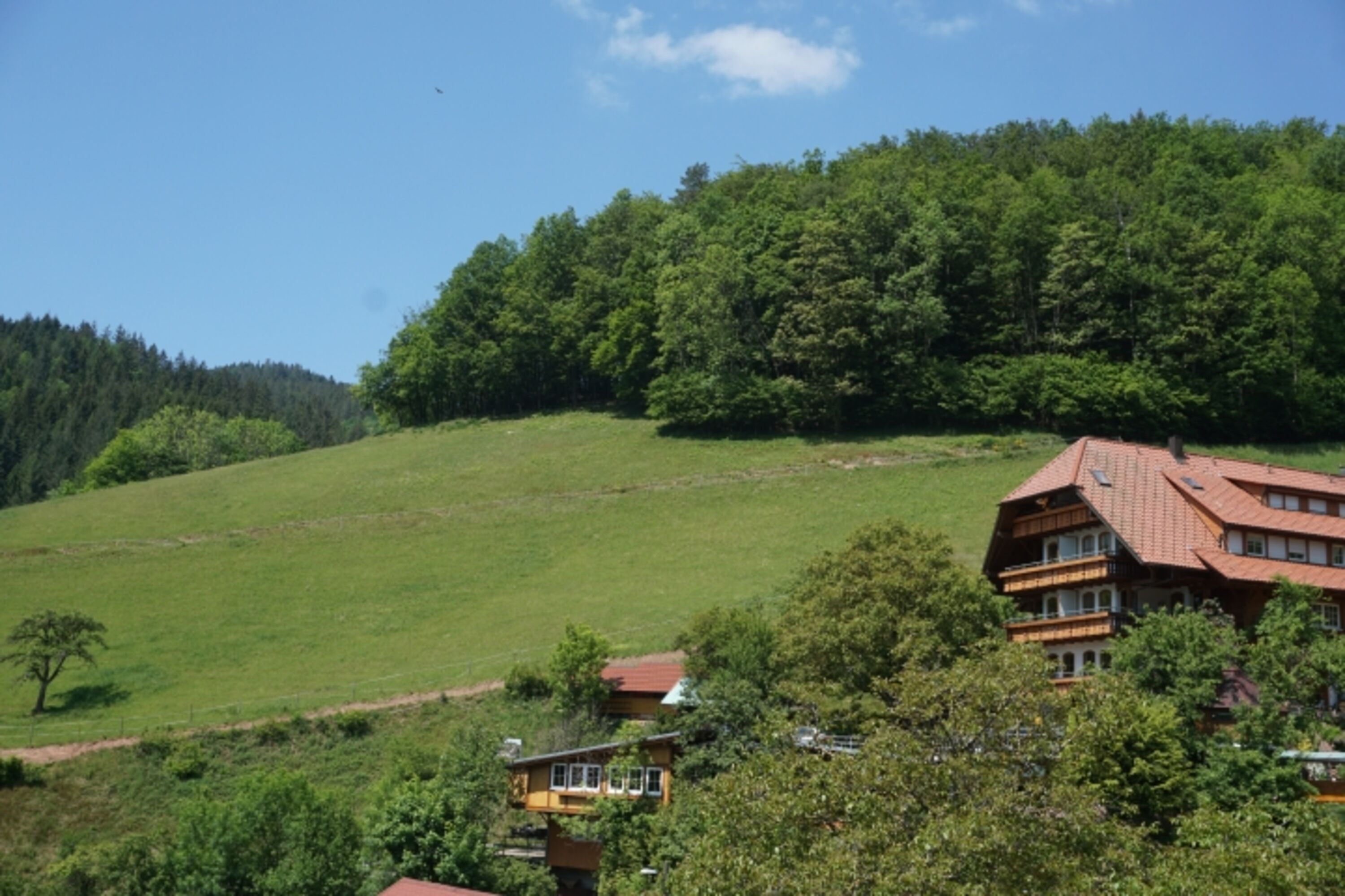 Ehrenmättlehof