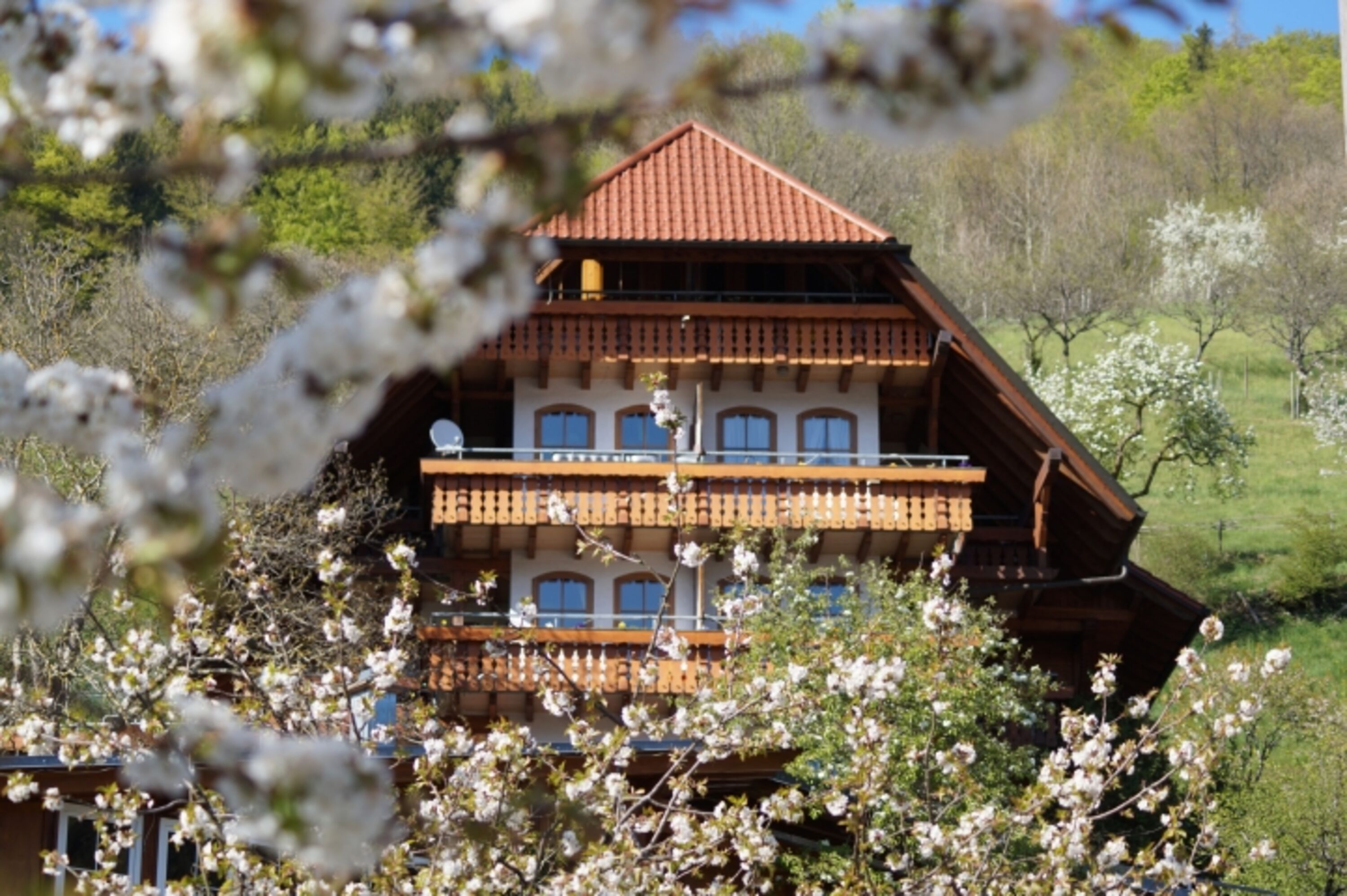 Ehrenmättlehof 