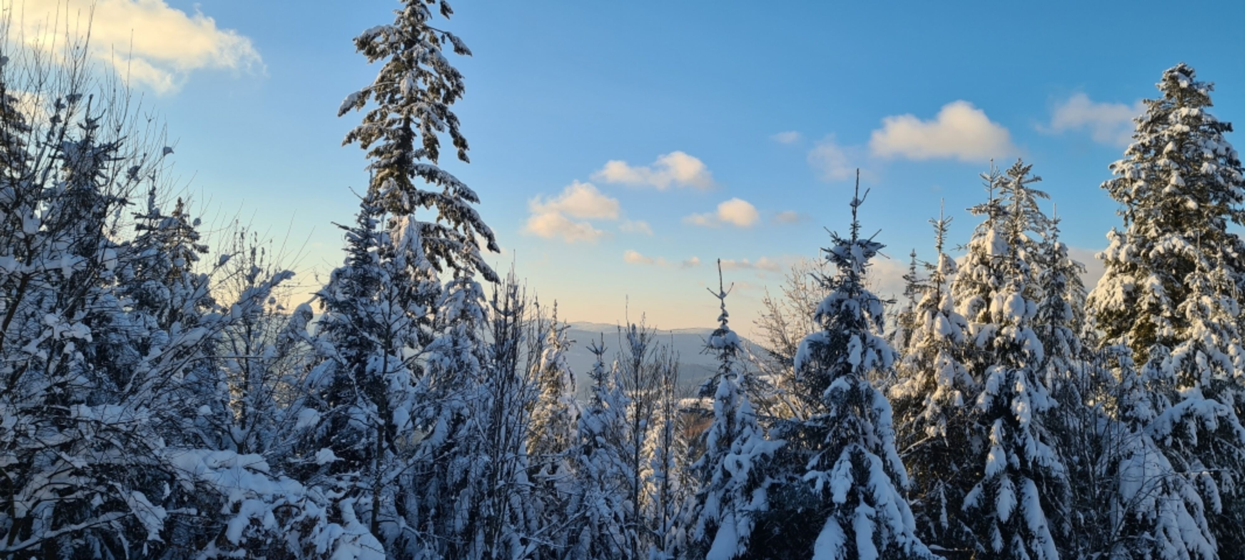 Winterparadies