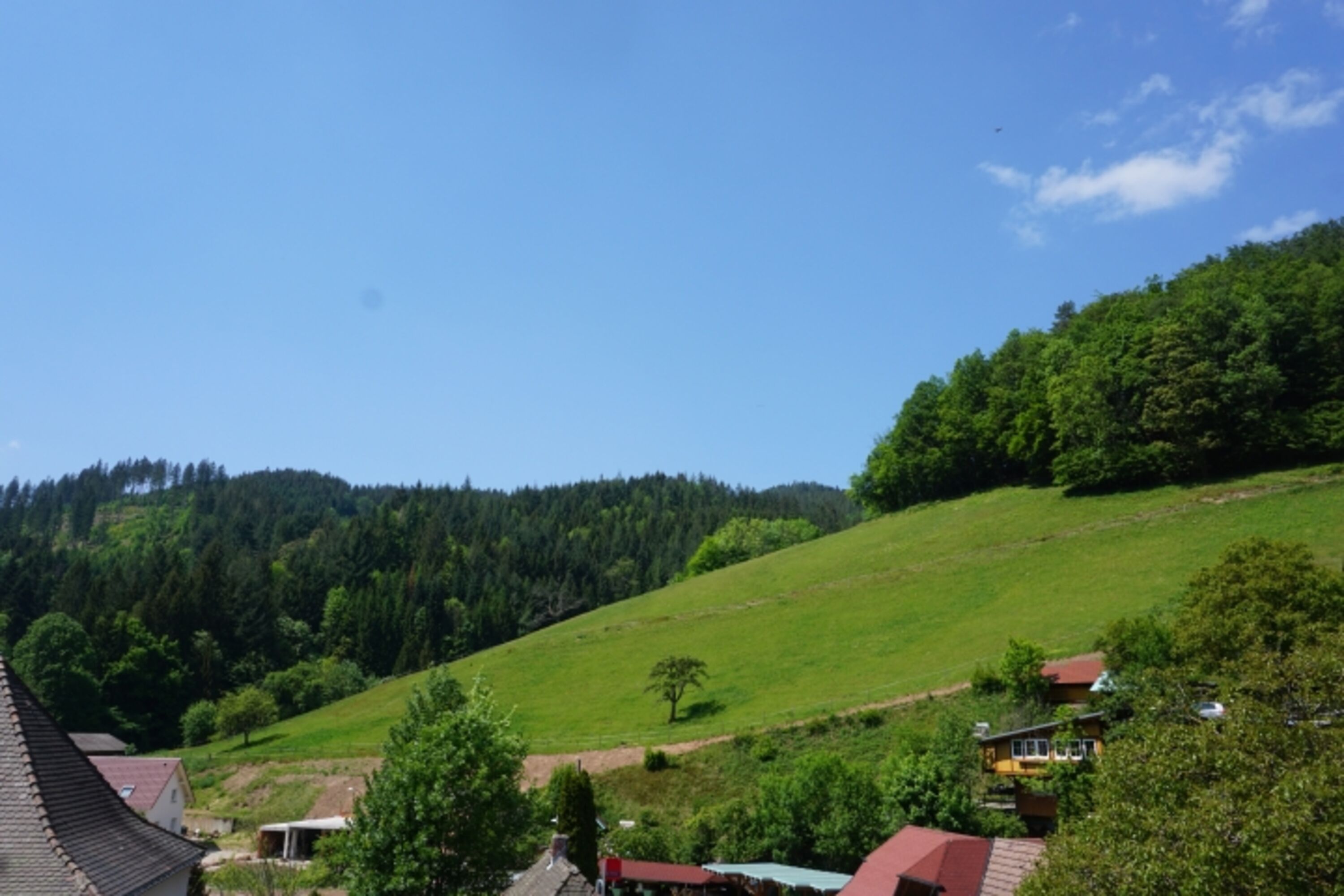 Aussicht